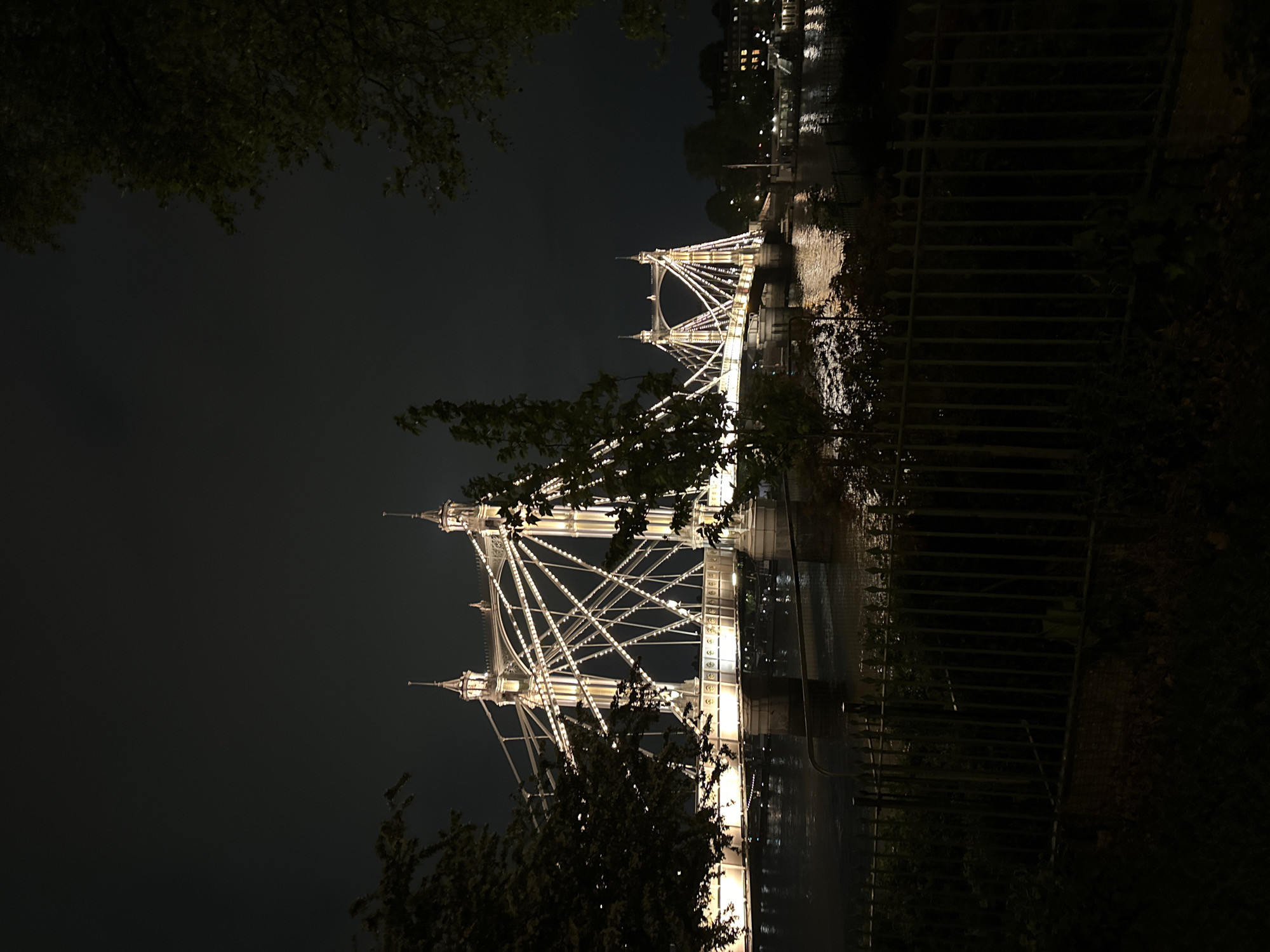 Albert Bridge illuminated at night in London