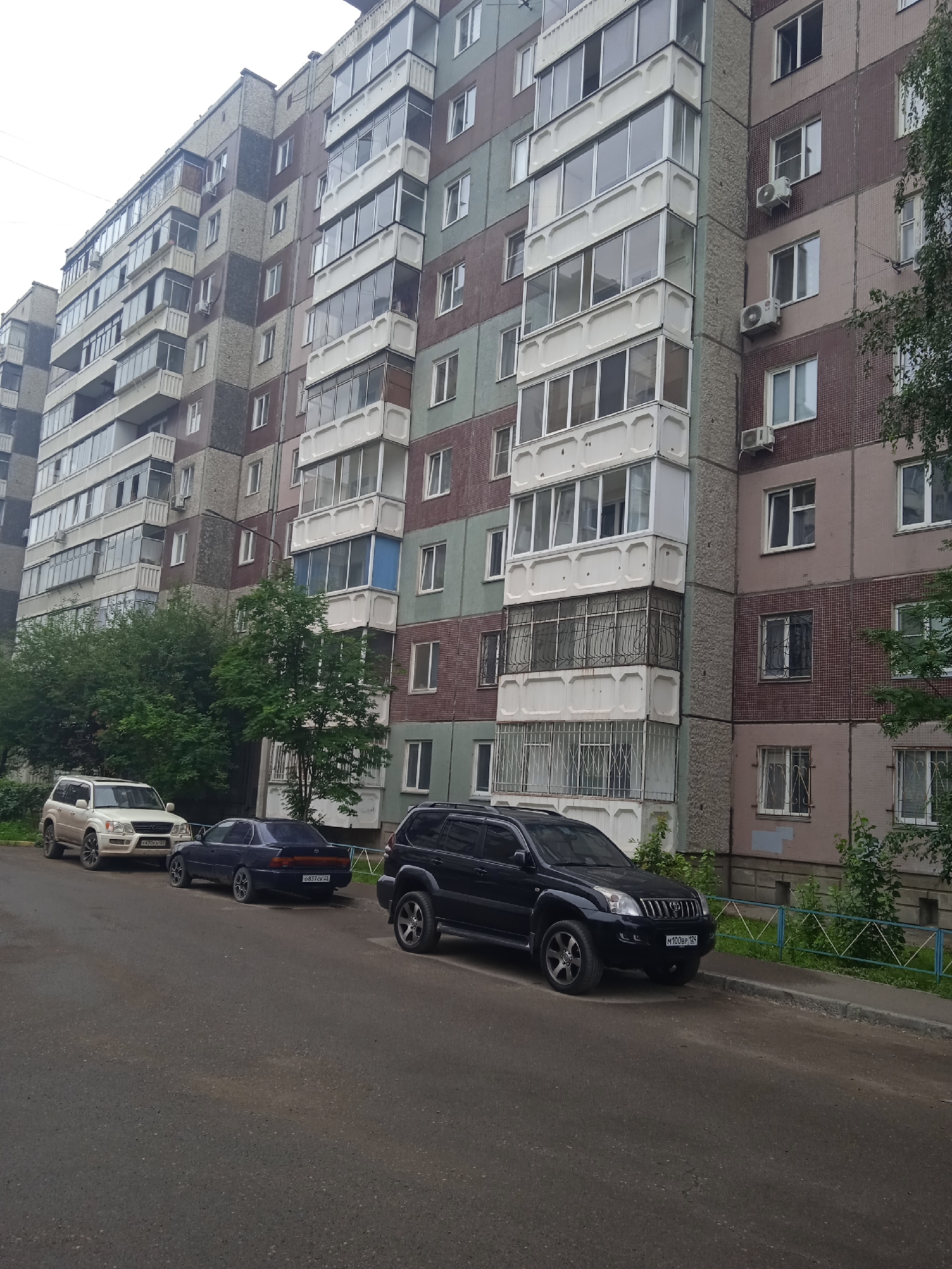 Quiet summer morning in a Krasnoyarsk residential neighborhood