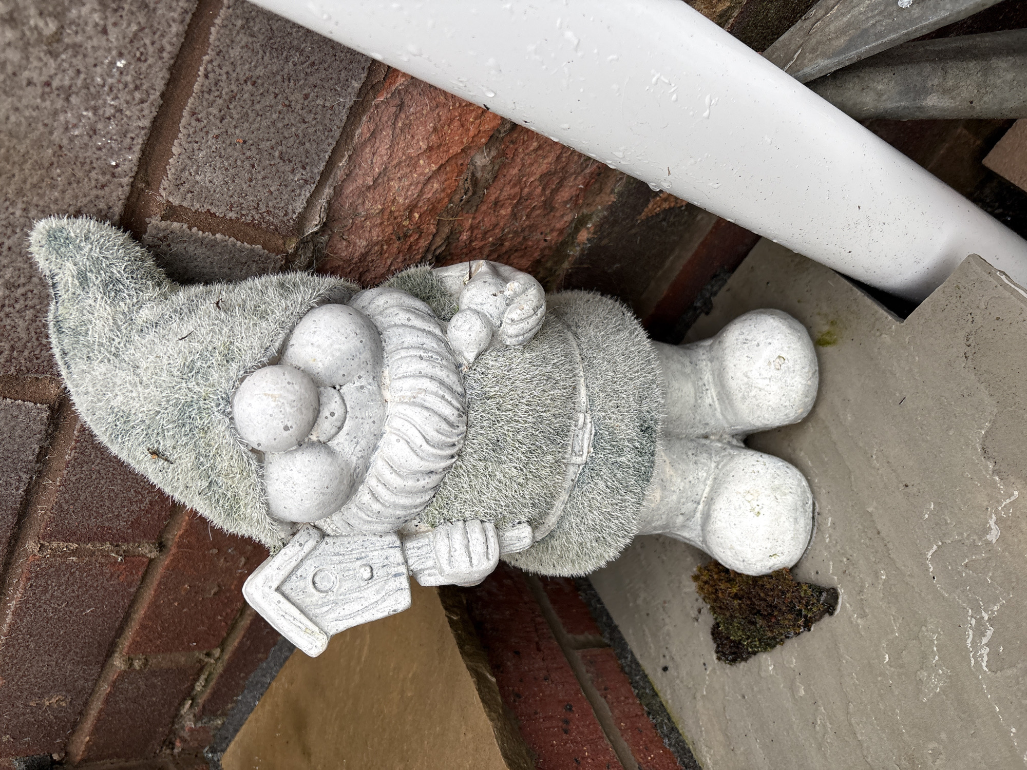 Textured grey garden gnome spotted in Minsterley