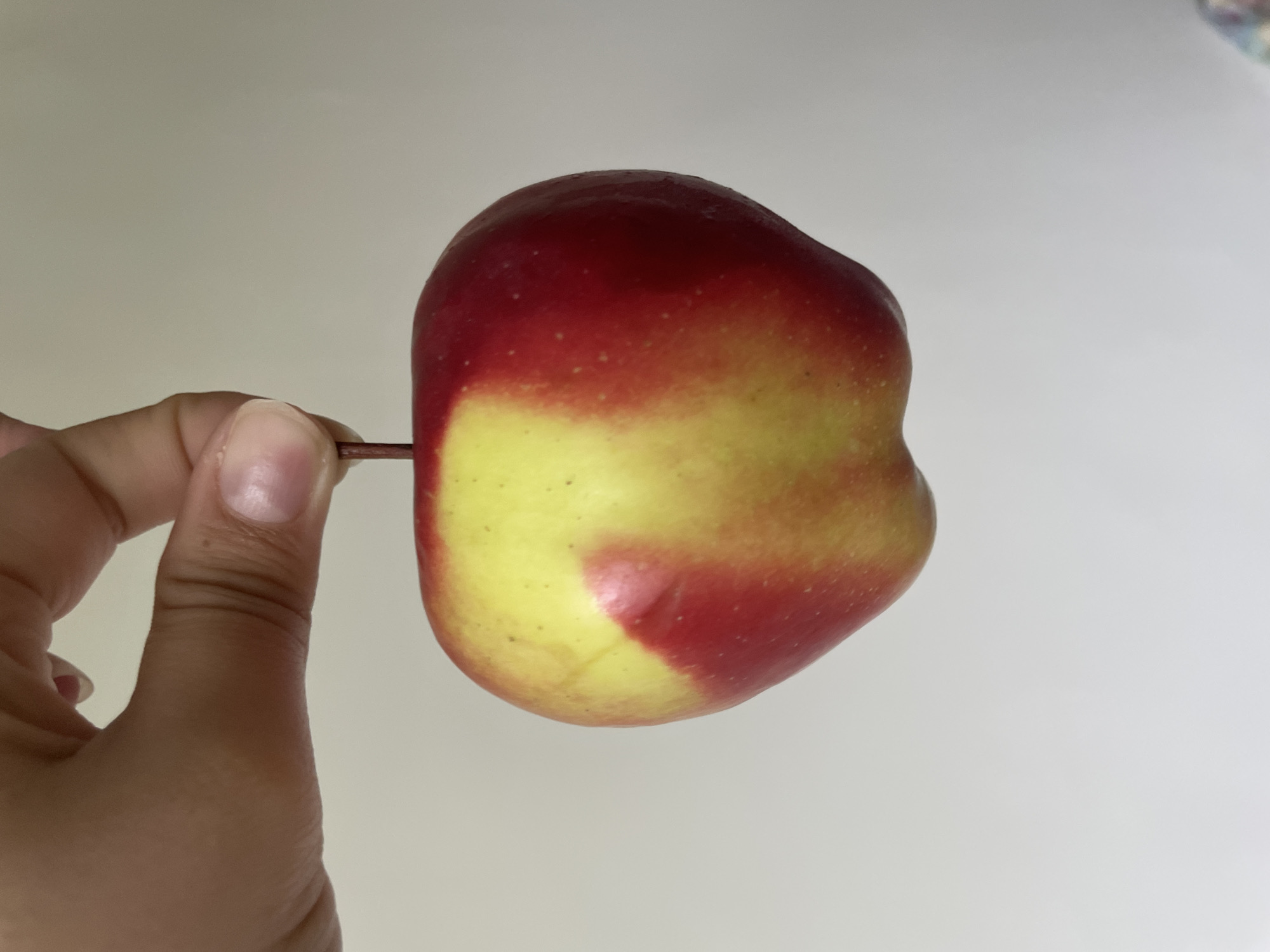Hand holds colorful apple in Plovdiv, Bulgaria