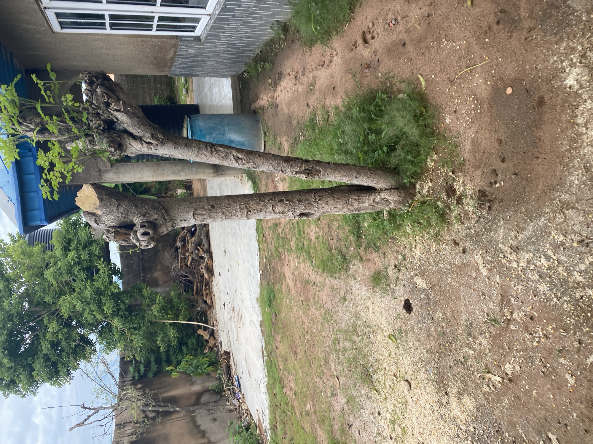 Street-level look at a Nigerian village in mid-construction