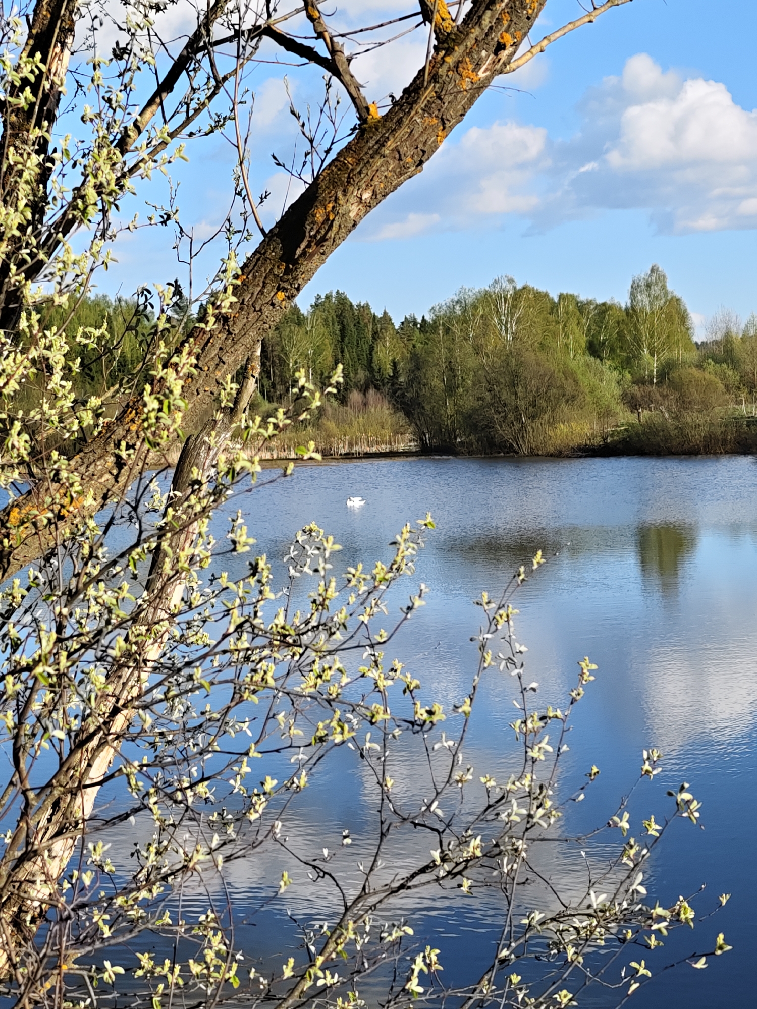 Spring day documented in rural Russian village shows family life