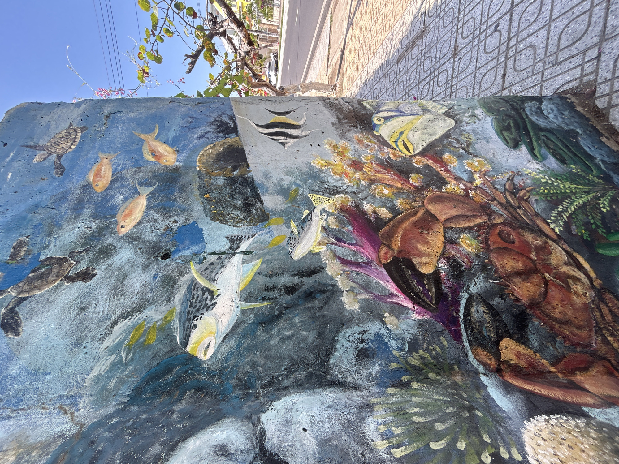 Underwater scene mural spotted on wall in Vietnam