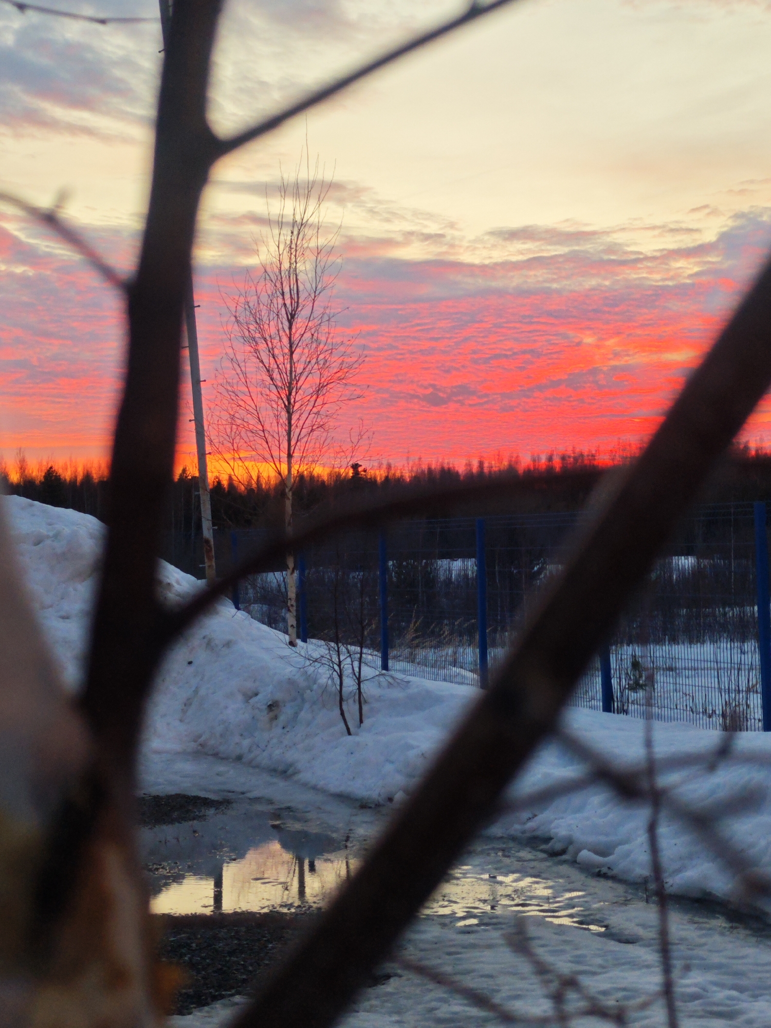 Winter sunset captured by witnesses in Russian landscape