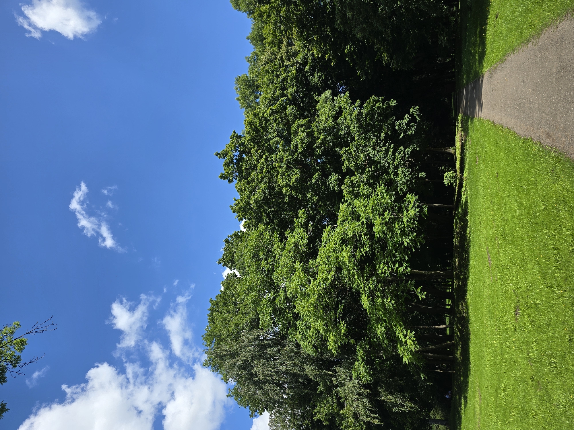 Nesvizh Castle and park on a sunny summer morning