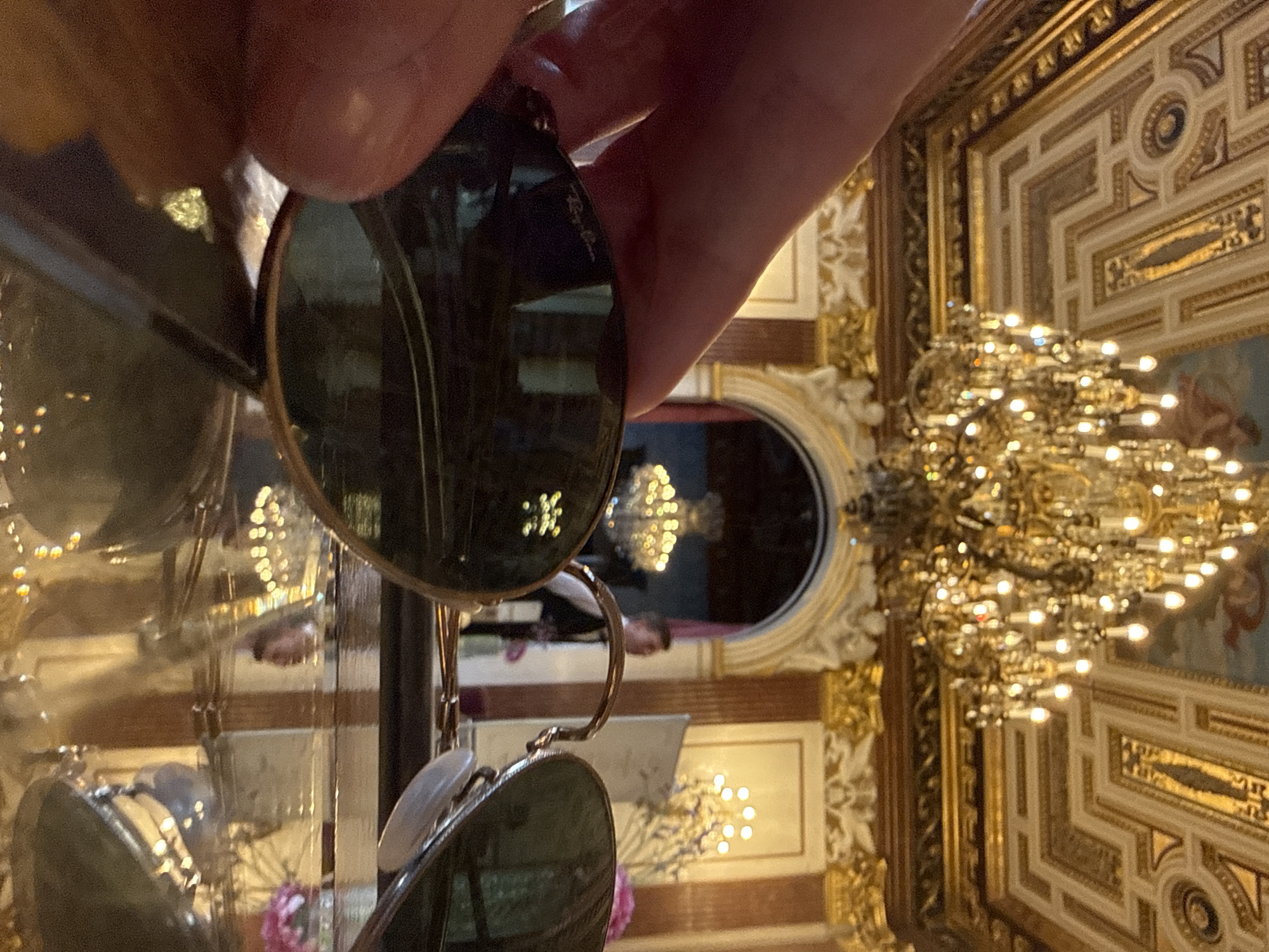Tourist documents ornate Vienna interior through selfies and reflections