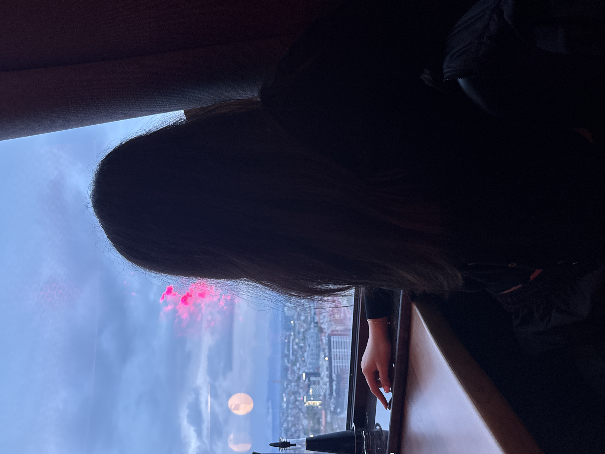 Person documents high-rise visit with city views, selfies, meal