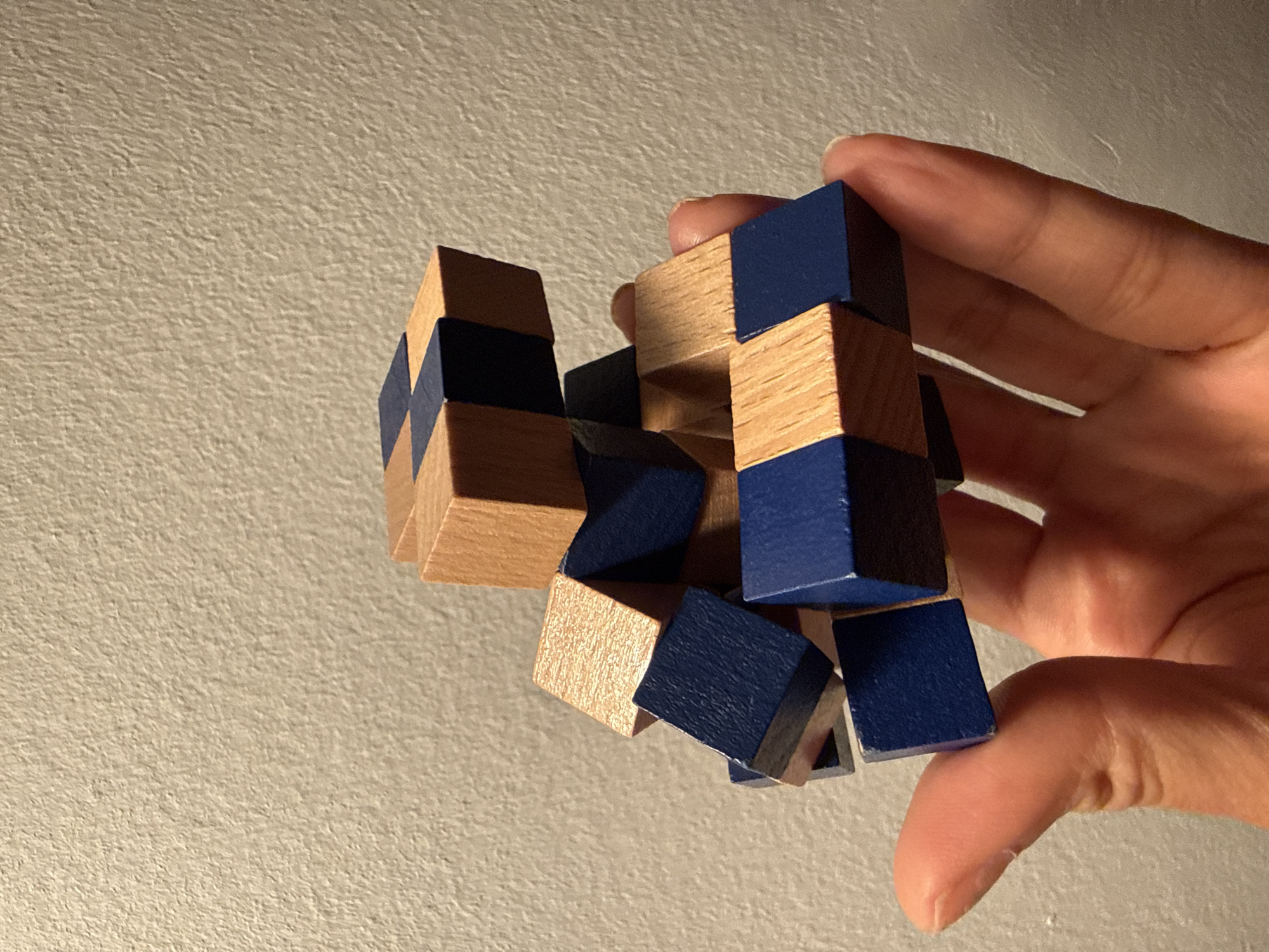 Barcelona resident spends evening cooking, puzzle-solving, and cat grooming
