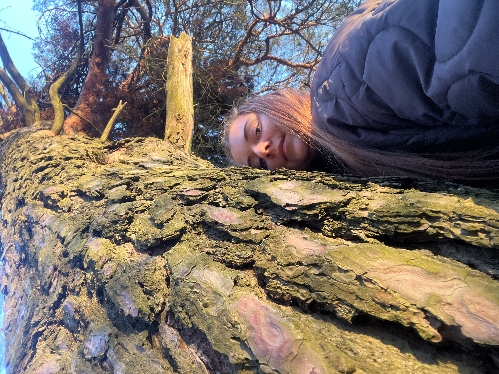 Woman photographed resting against tree in Zaovrazh'e, Russia