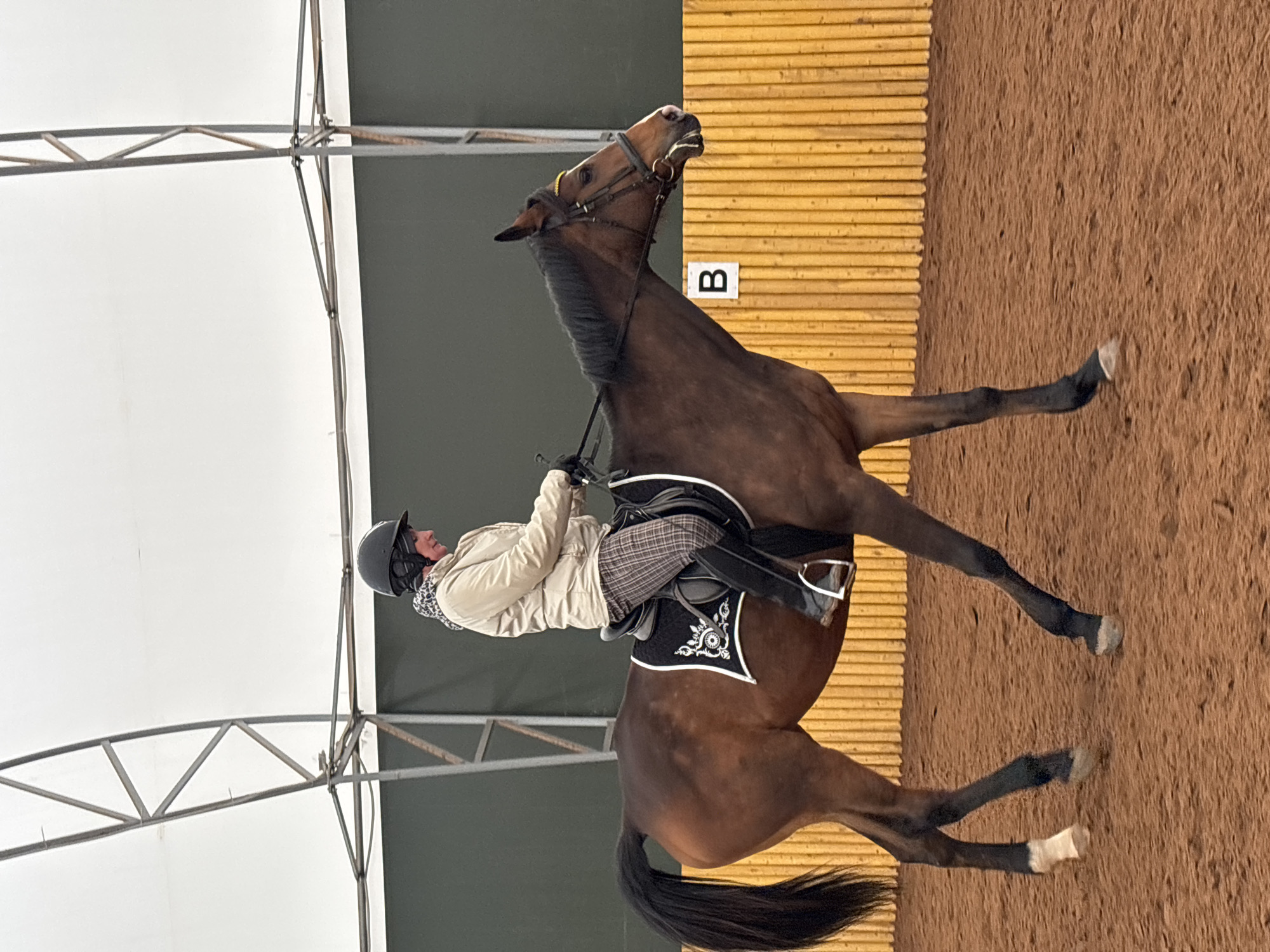 Horseback riding observed at Russian equestrian facility during snowfall