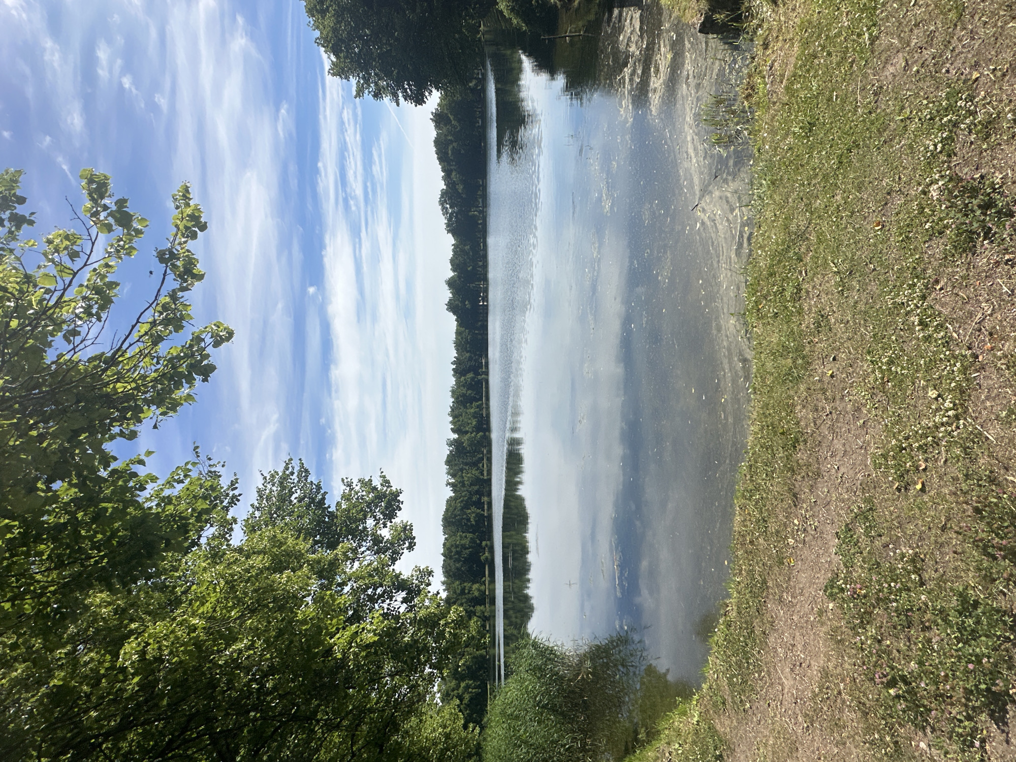 Peterhof grounds and cathedral on a sunny summer morning