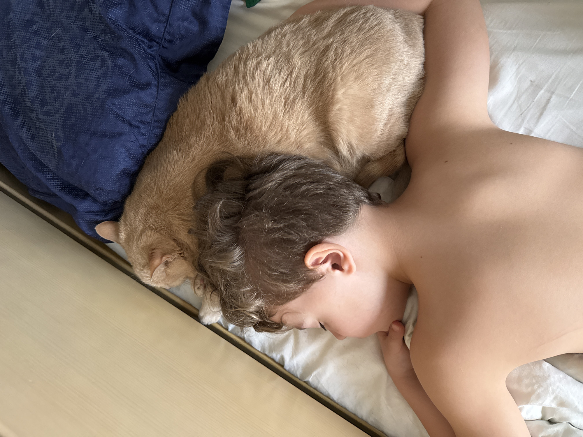 Child and cat share peaceful sleep in Krasnoyarsk