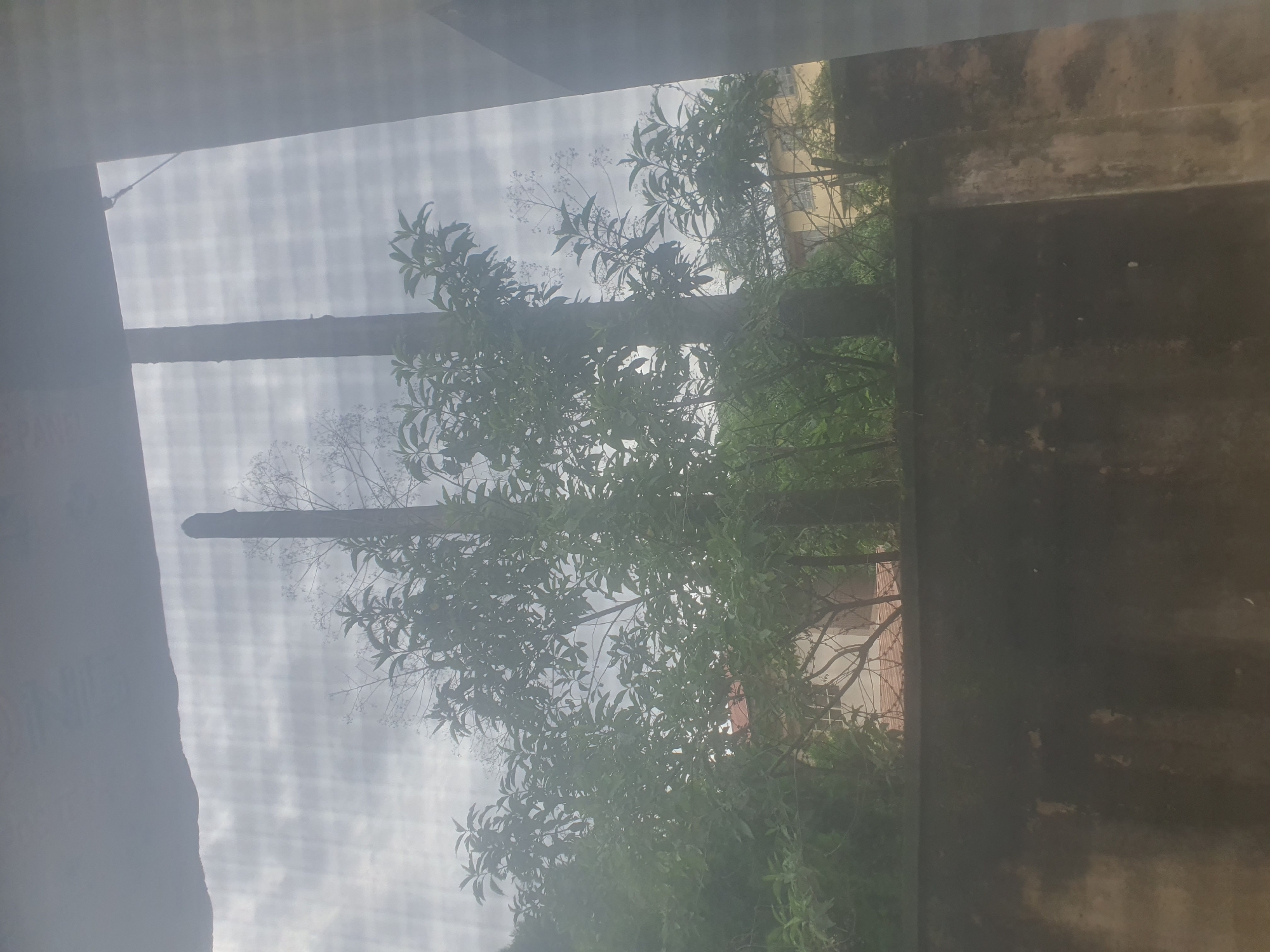 Baby supplies, household goods, and home life in Jos, Nigeria