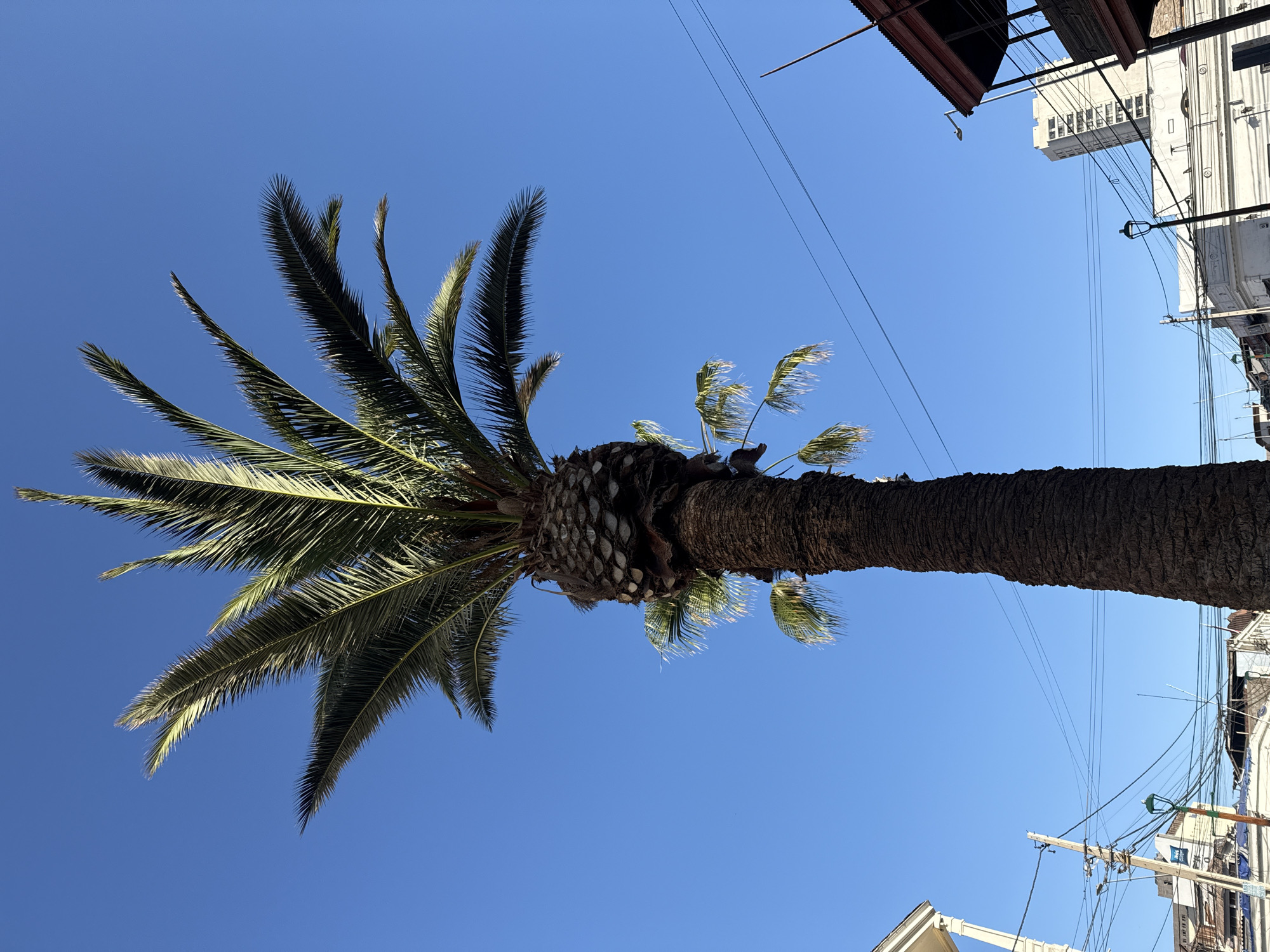 Iquique, Chile