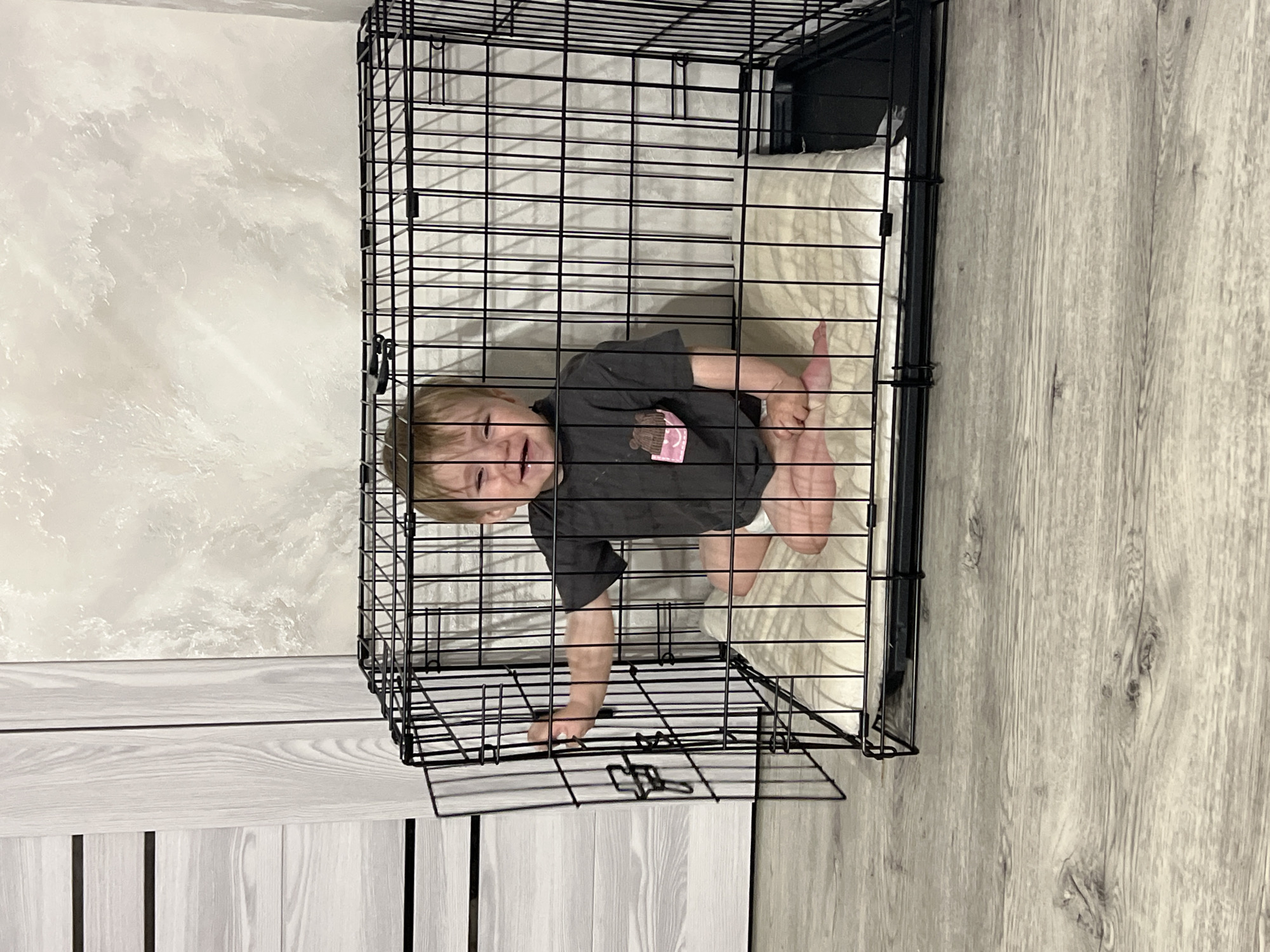 Toddler plays in dog crate while bulldog sleeps nearby