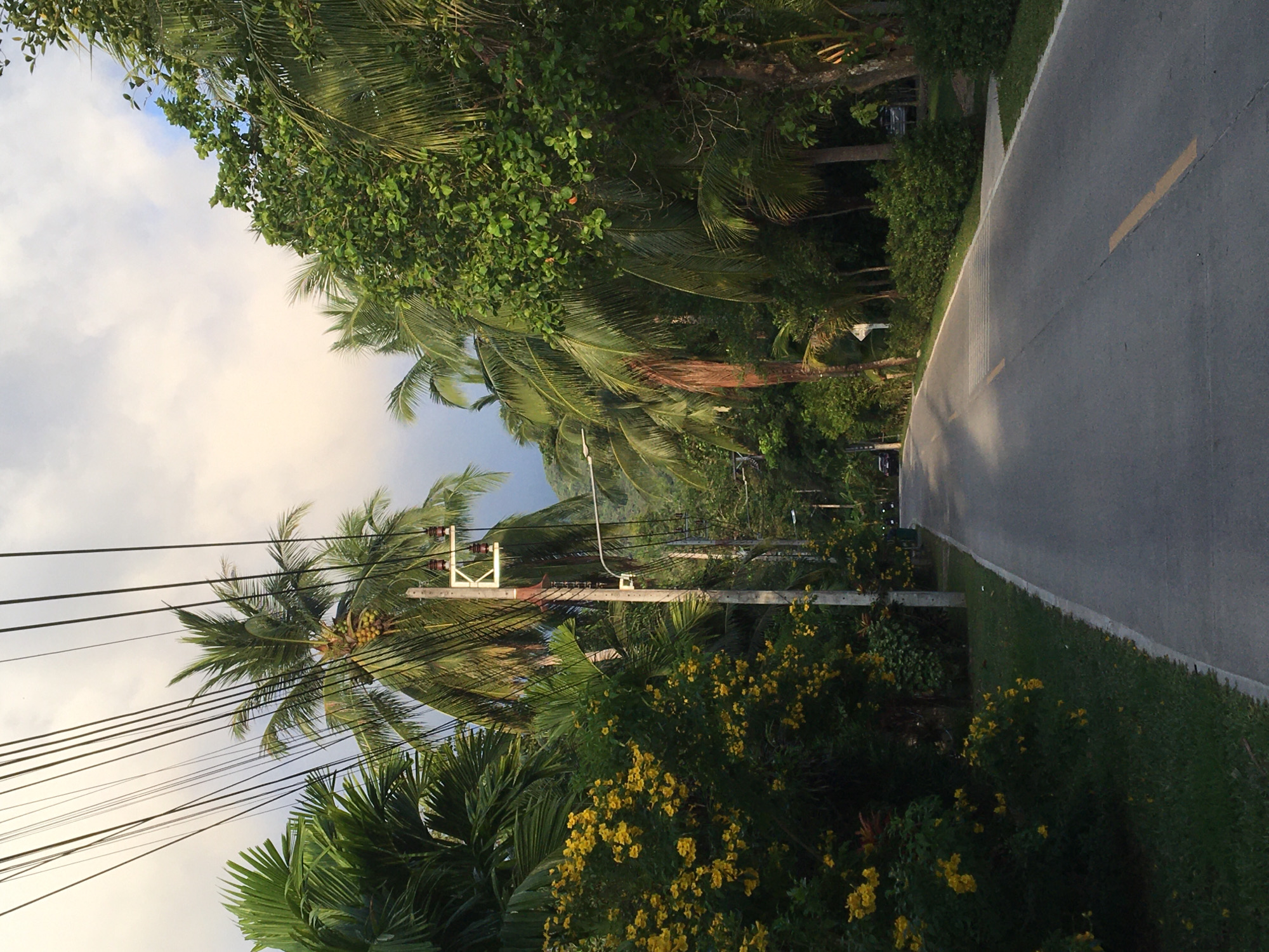 Road with yellow stripe observed in Baan Nai Suan, Thailand