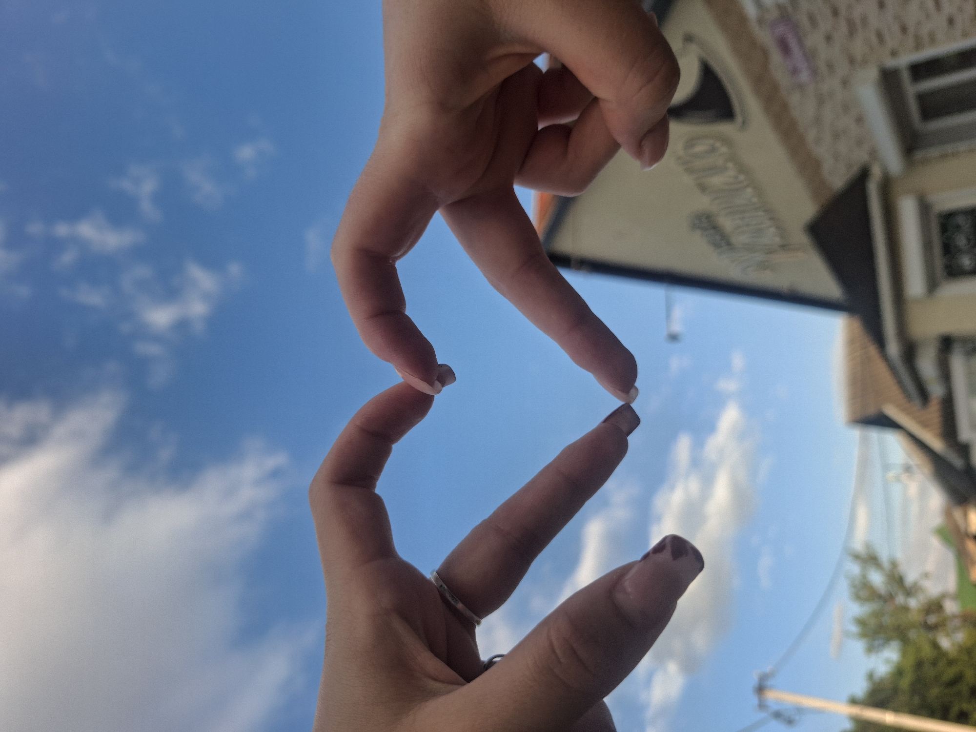 Blue-sky afternoon: hand hearts, street cats, and urban textures