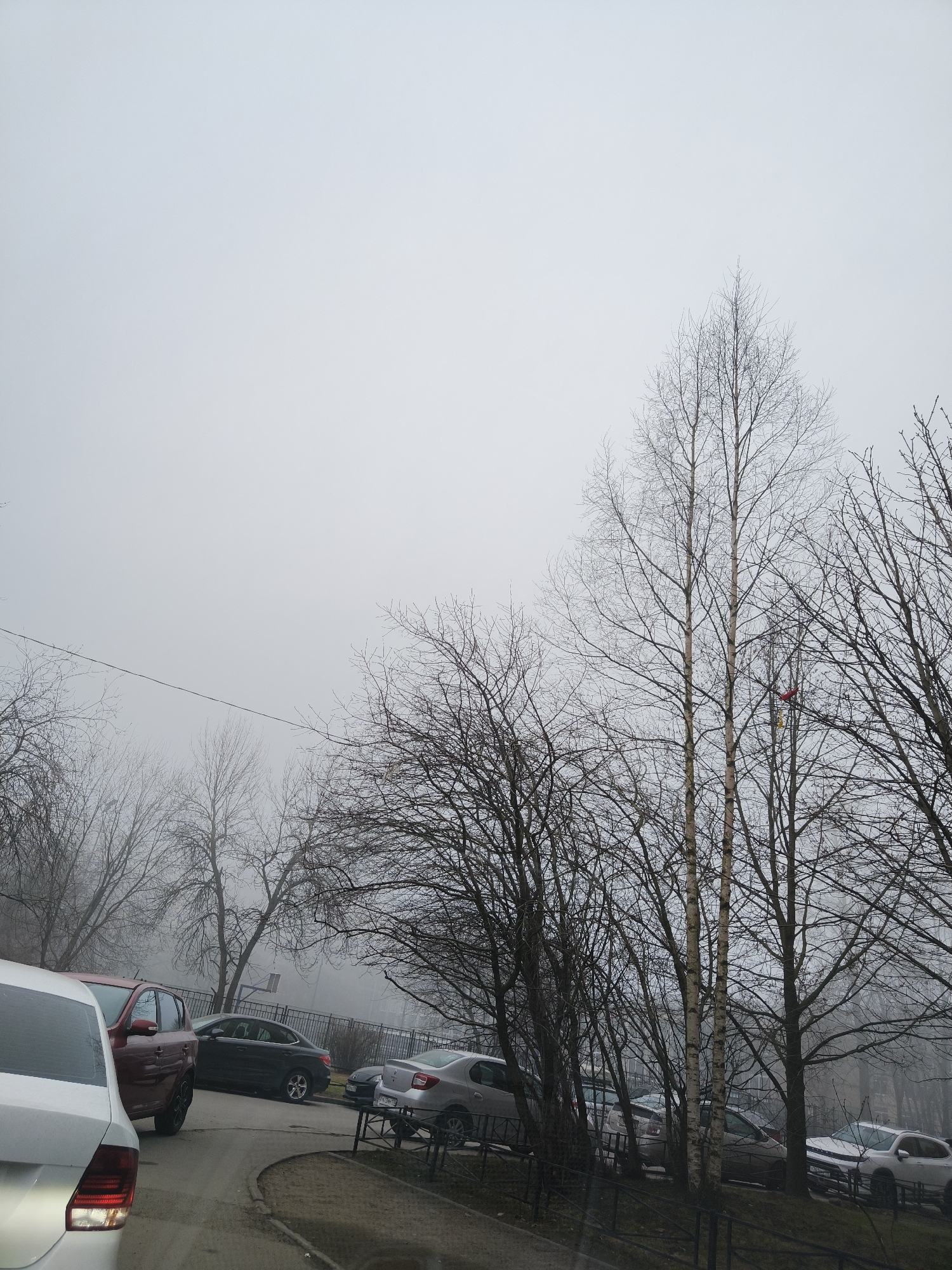 Foggy morning street scene captured in Saint Petersburg