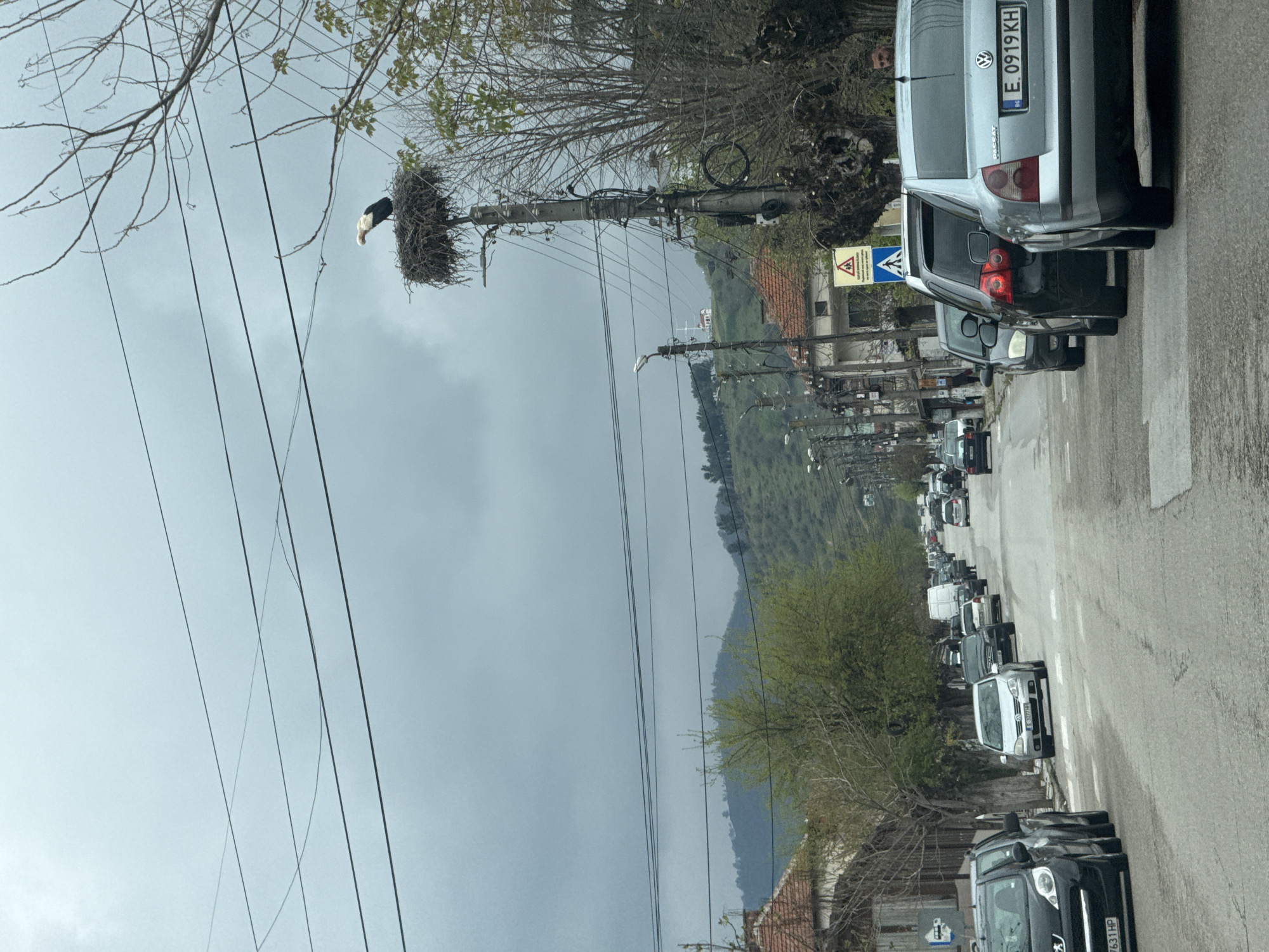 Stork spotted on nest during traffic jam in Parvomai