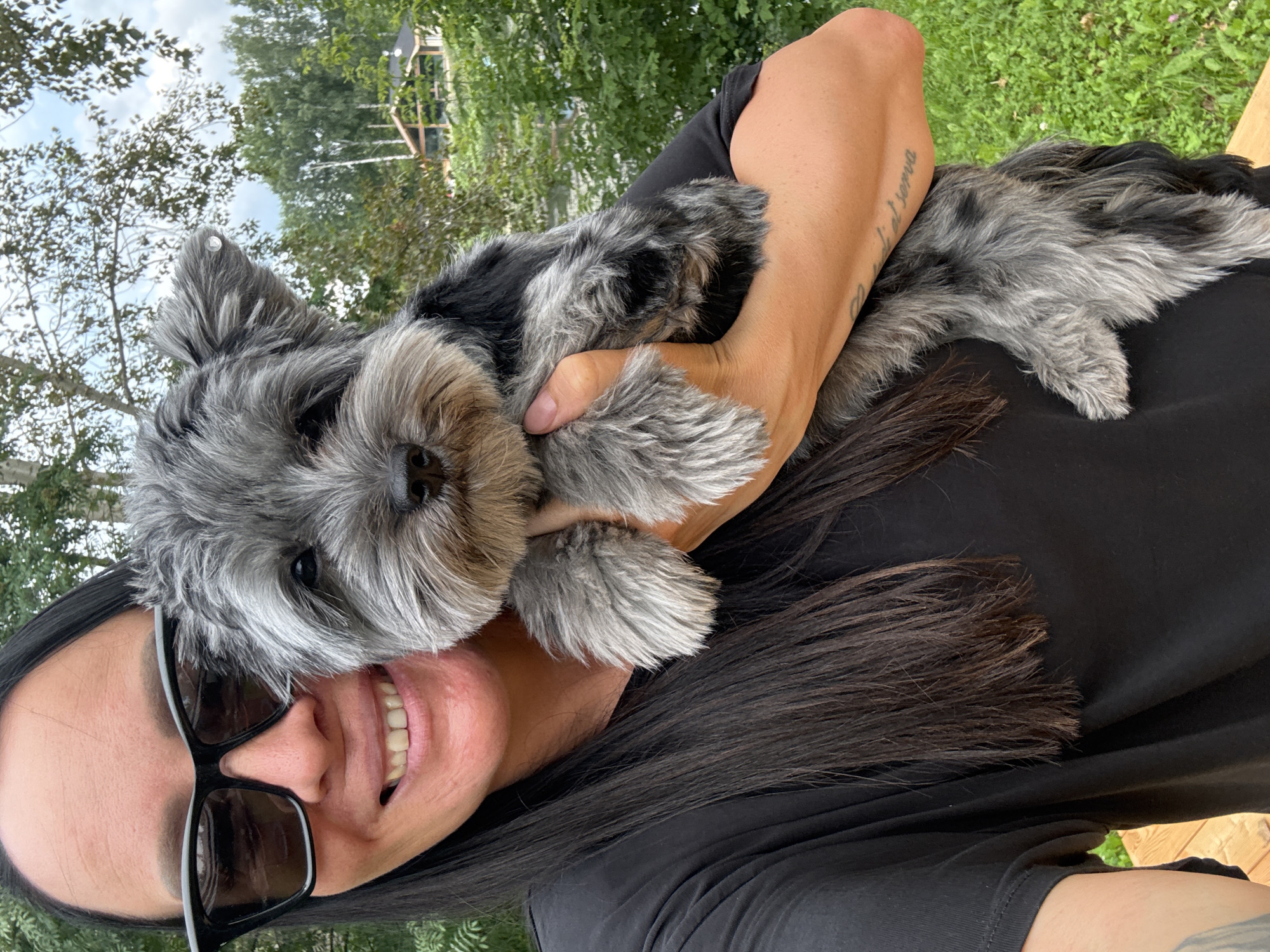 Hanging out with a gray schnauzer in Chaikovsky