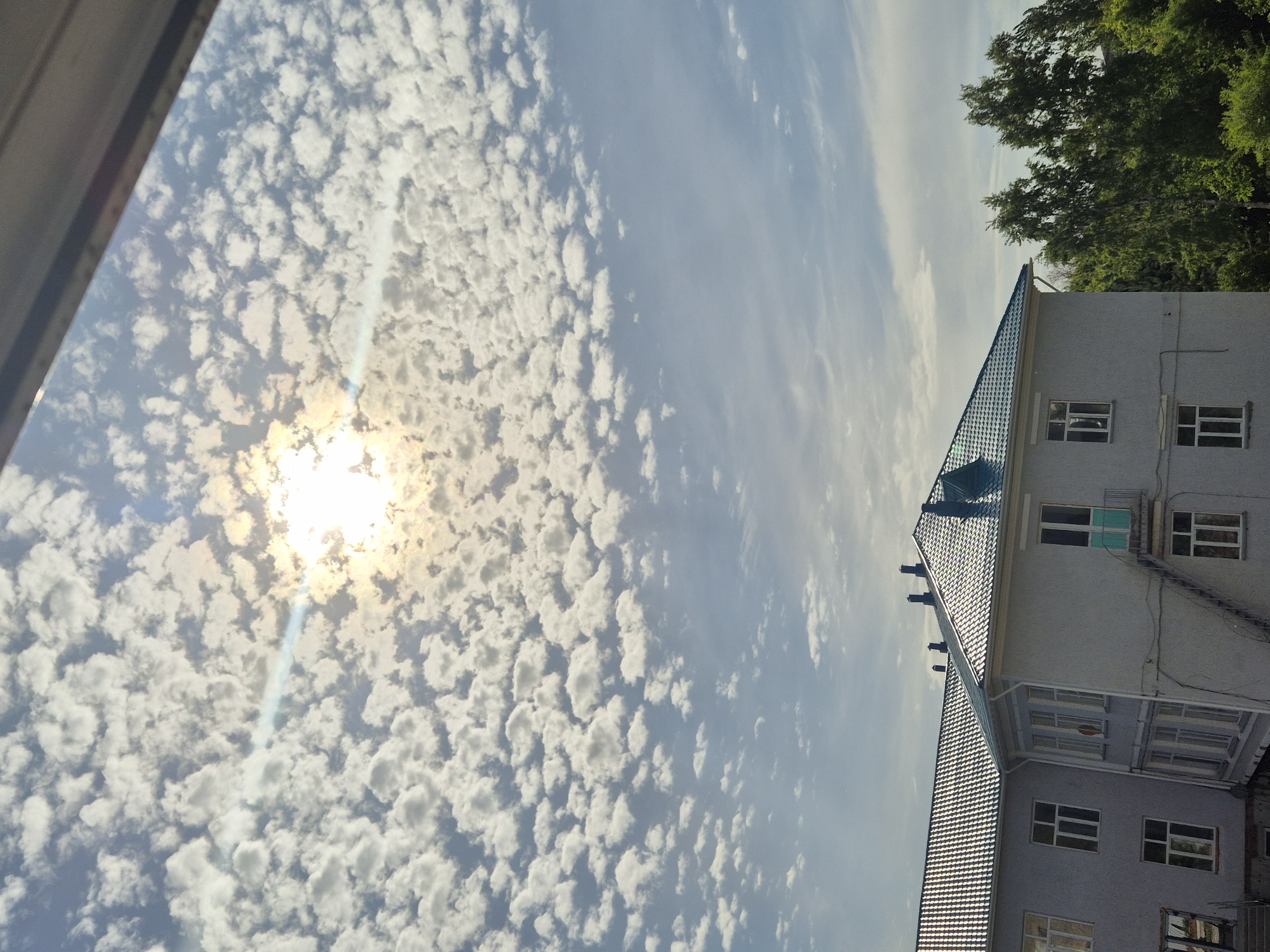 Morning sky watching and clay bird craft in Kazakhstan