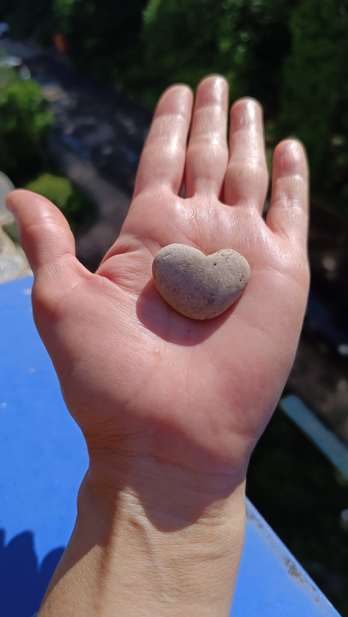 Morning moments in Lermontov: heart-shaped stone, hungry cat