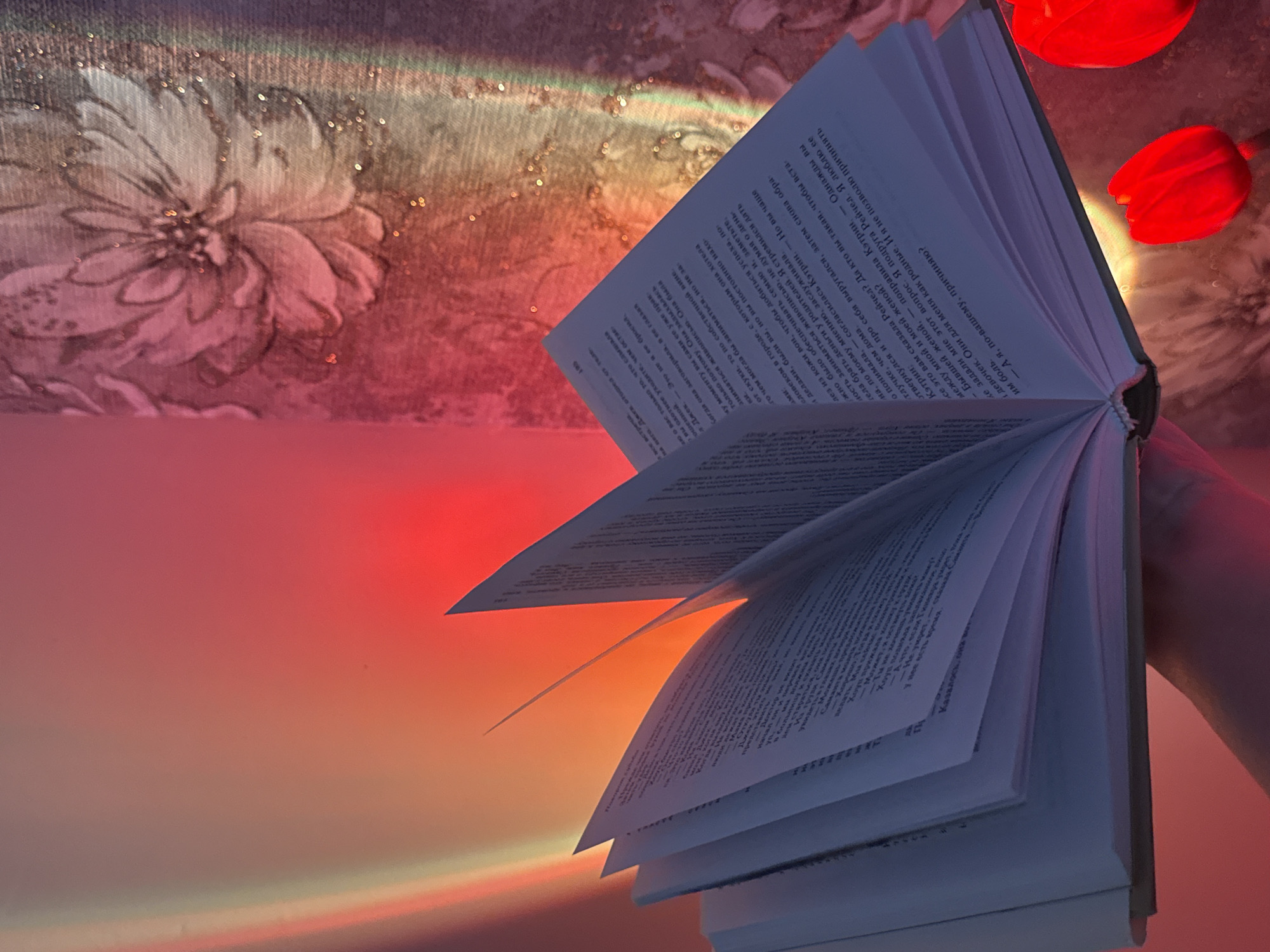 Artist photographs everyday objects with sunset lighting against floral wallpaper