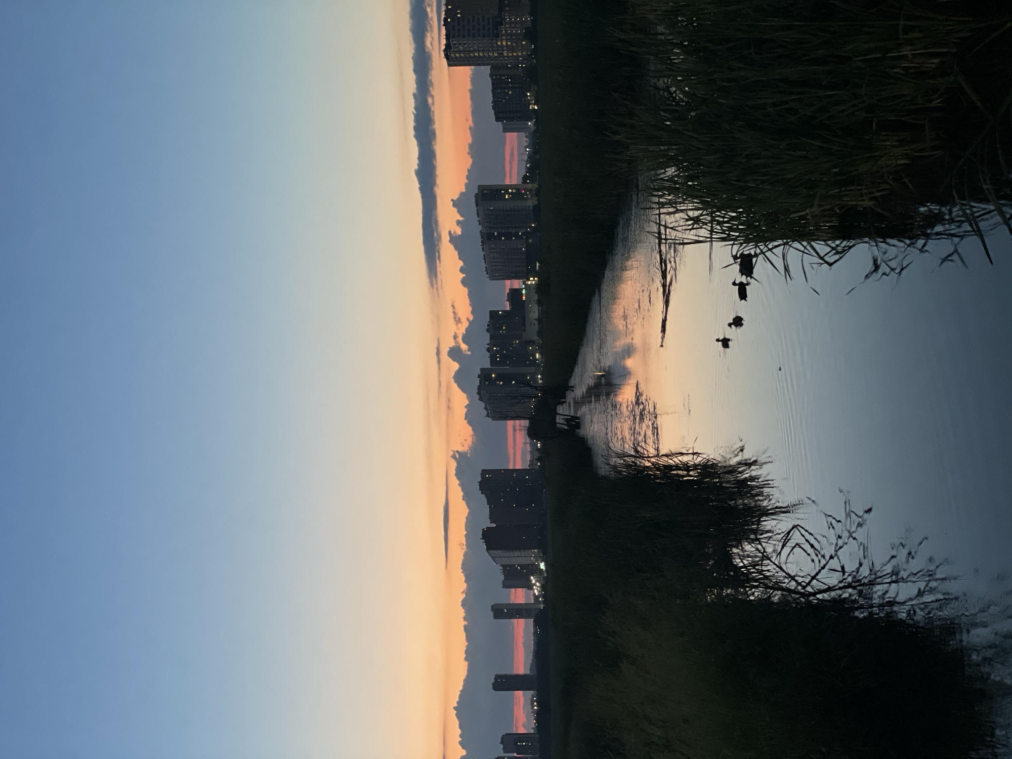 Cats, dusk skies, and a quiet evening in at home