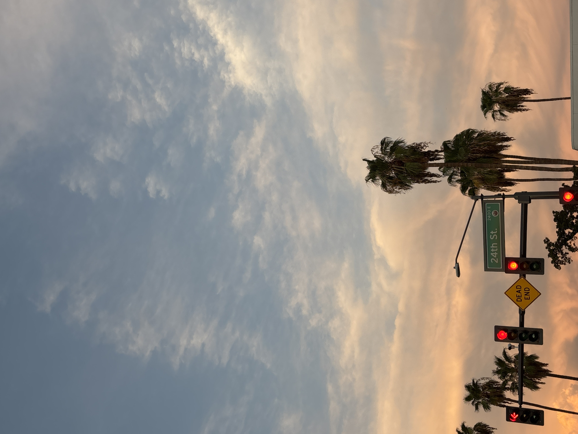 Sunset glow over a Palm-lined Phoenix street corner