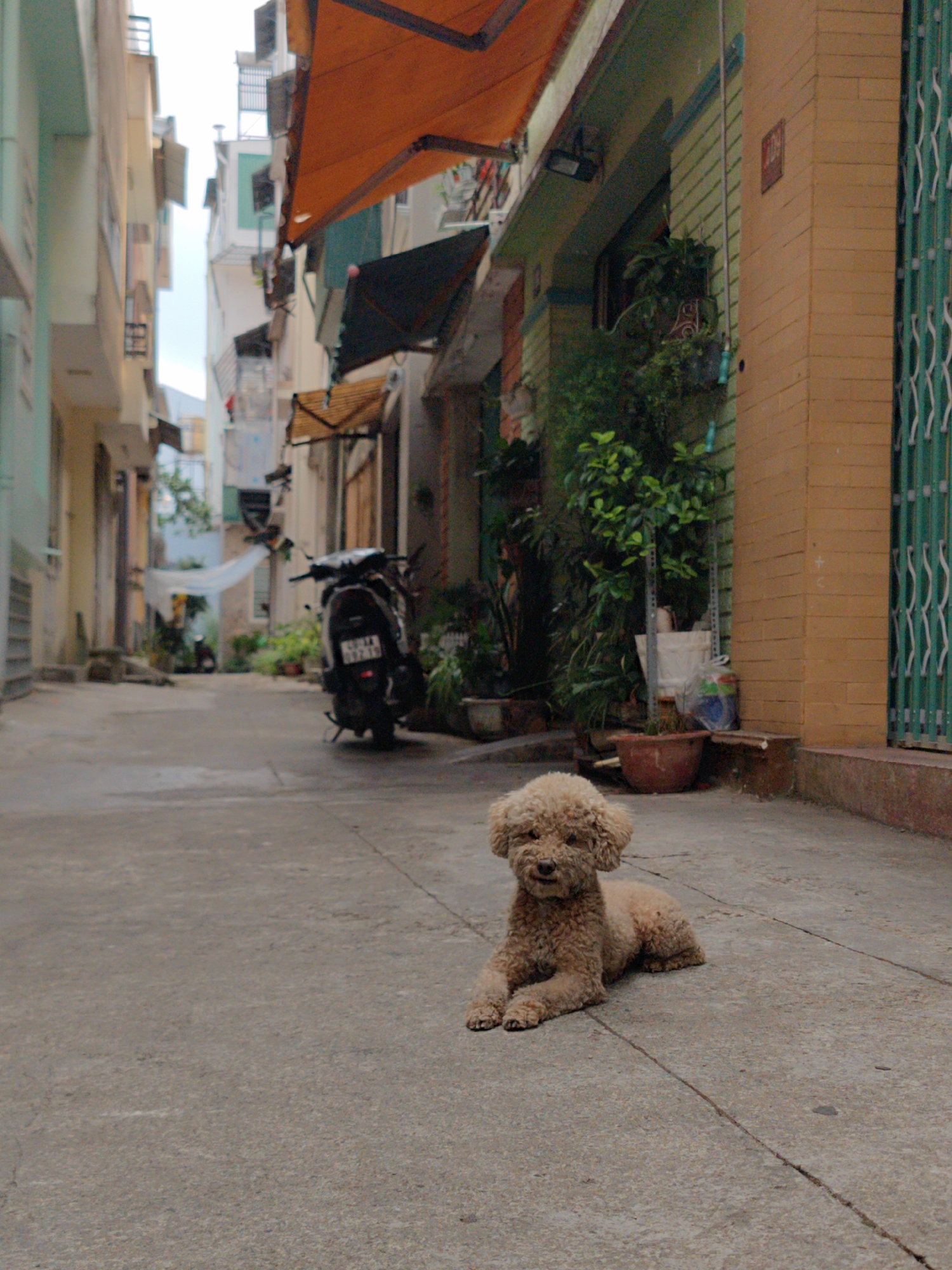Morning walk captures everyday street life in Da Lat Vietnam