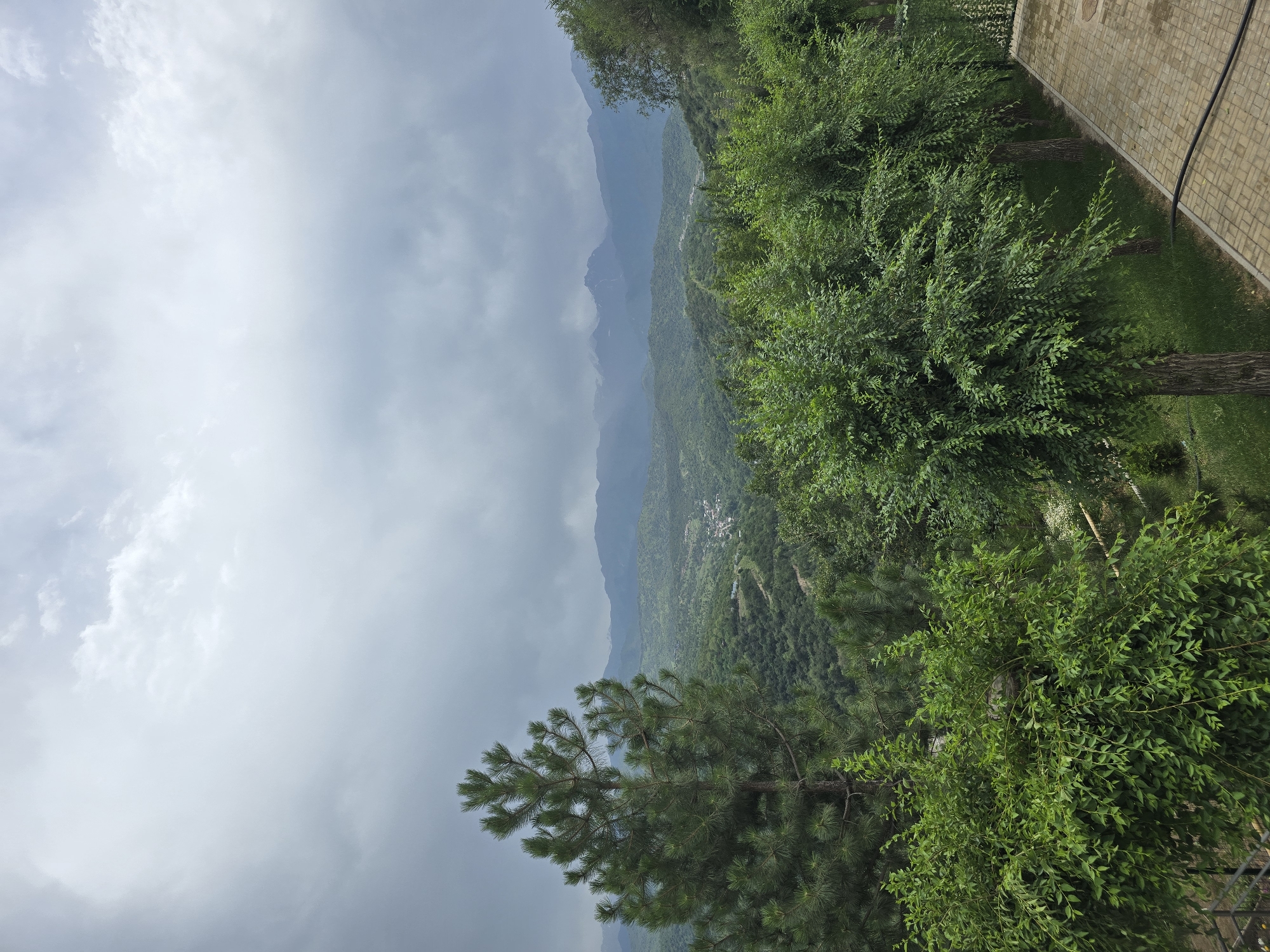 Overcast mountain panorama with pine tree near Almaty