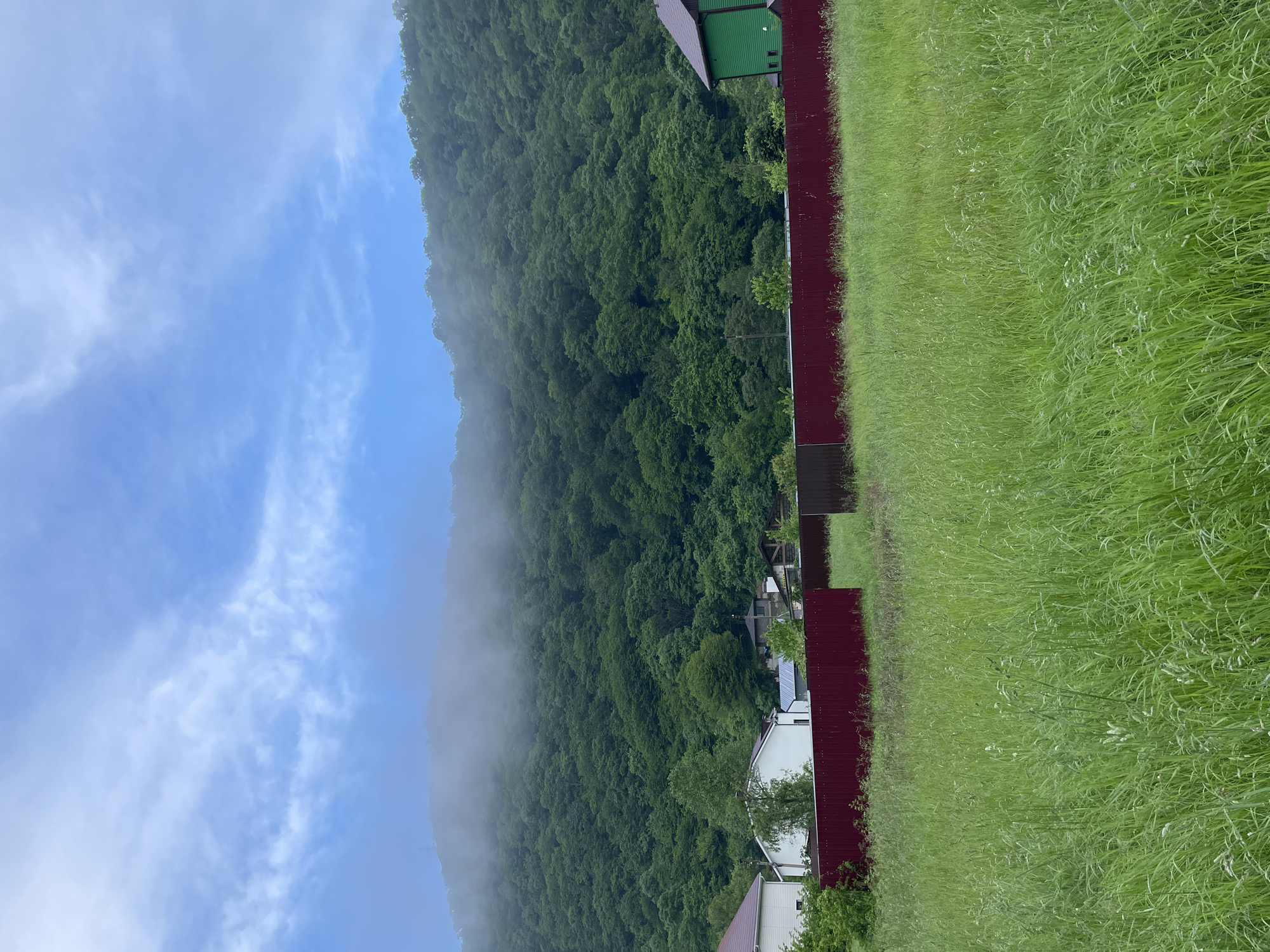Foggy mountain landscape photographed in Olginka, Russia
