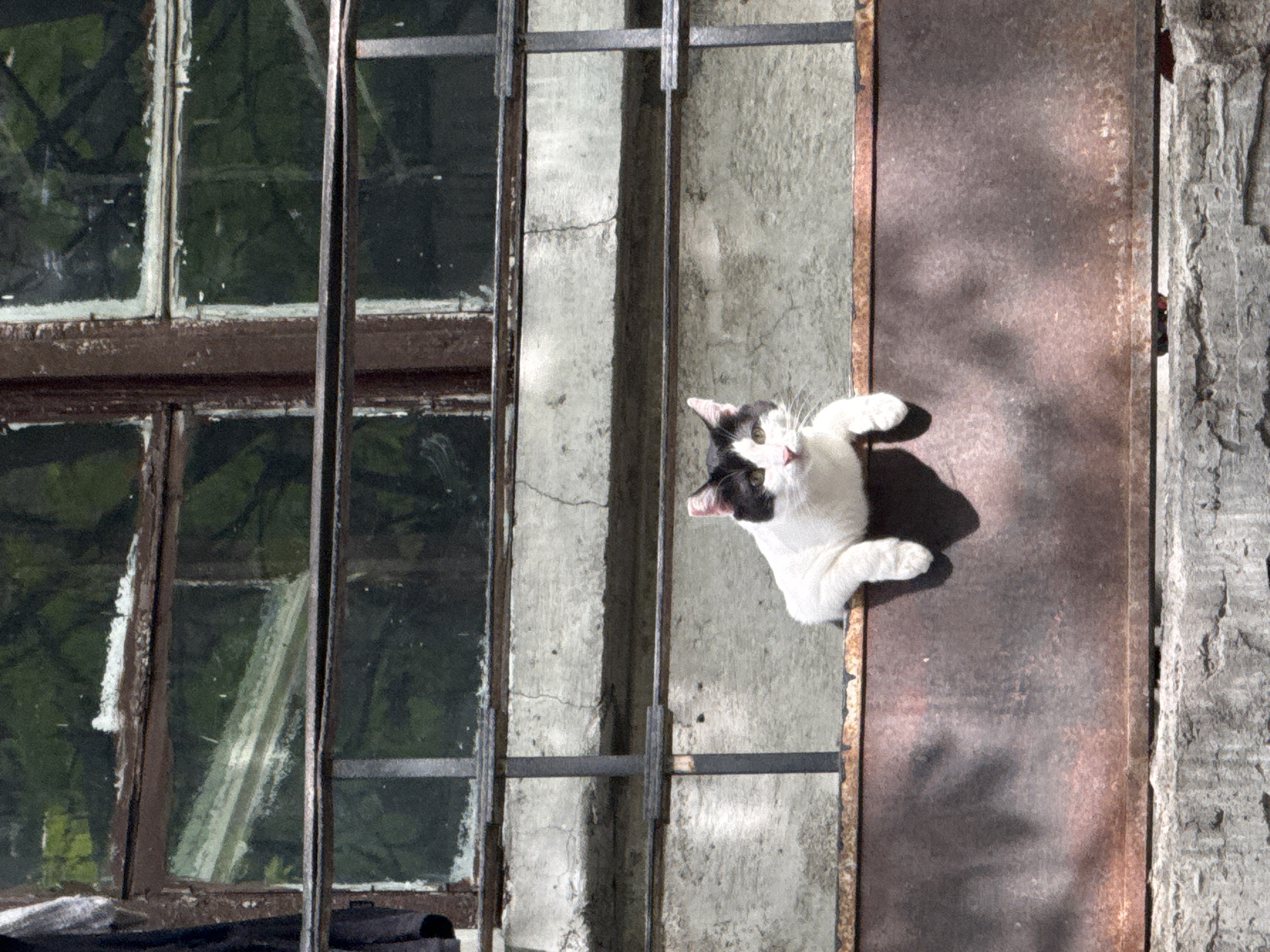 Urban photography walk captures Sofia street scenes and decorations