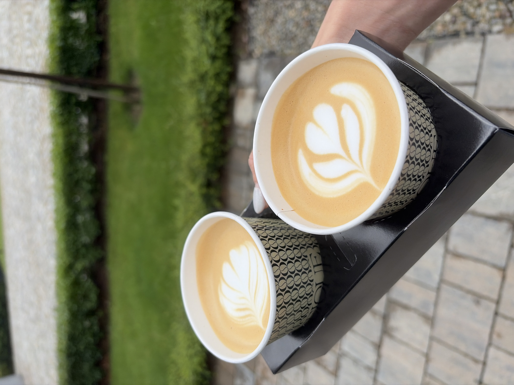 Person carries two coffee cups in takeaway carrier