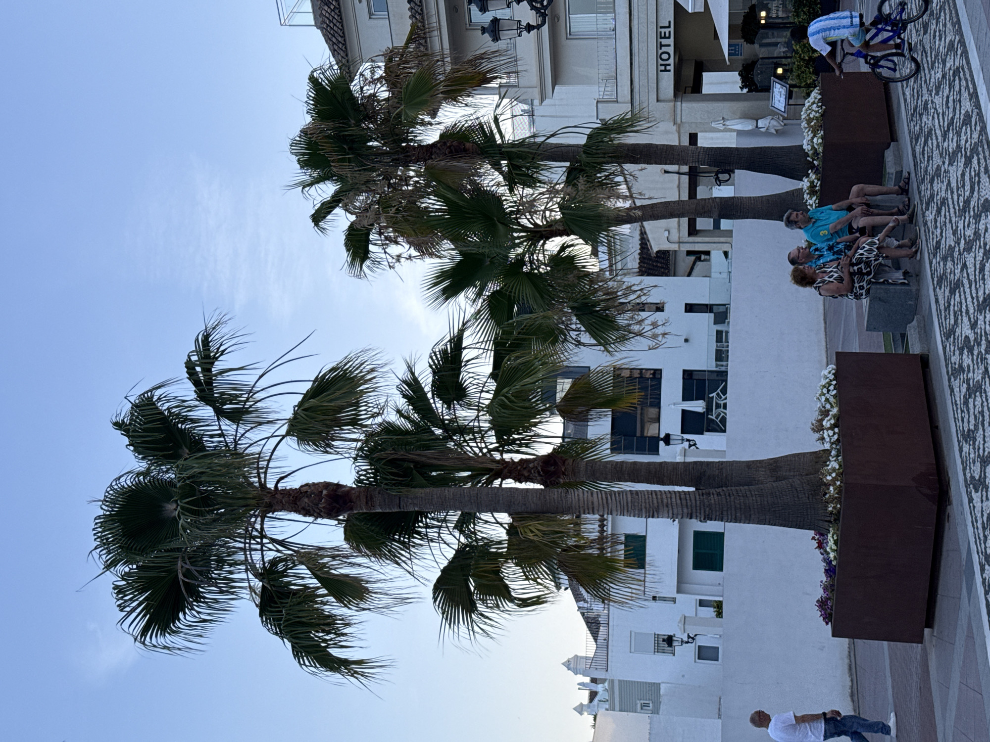 Nerja streetside: flowers, palms, and flags on a summer evening