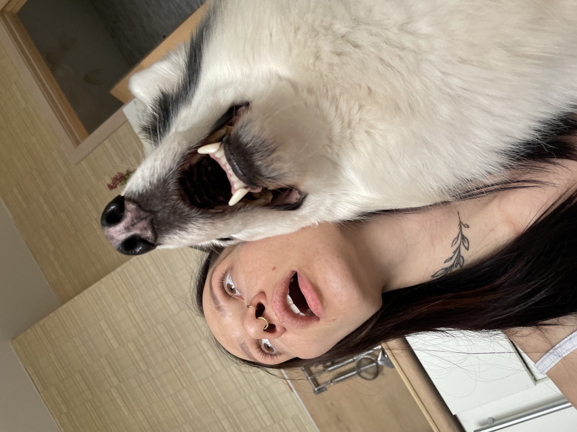 Woman's daily life with pets documented in Izhevsk home