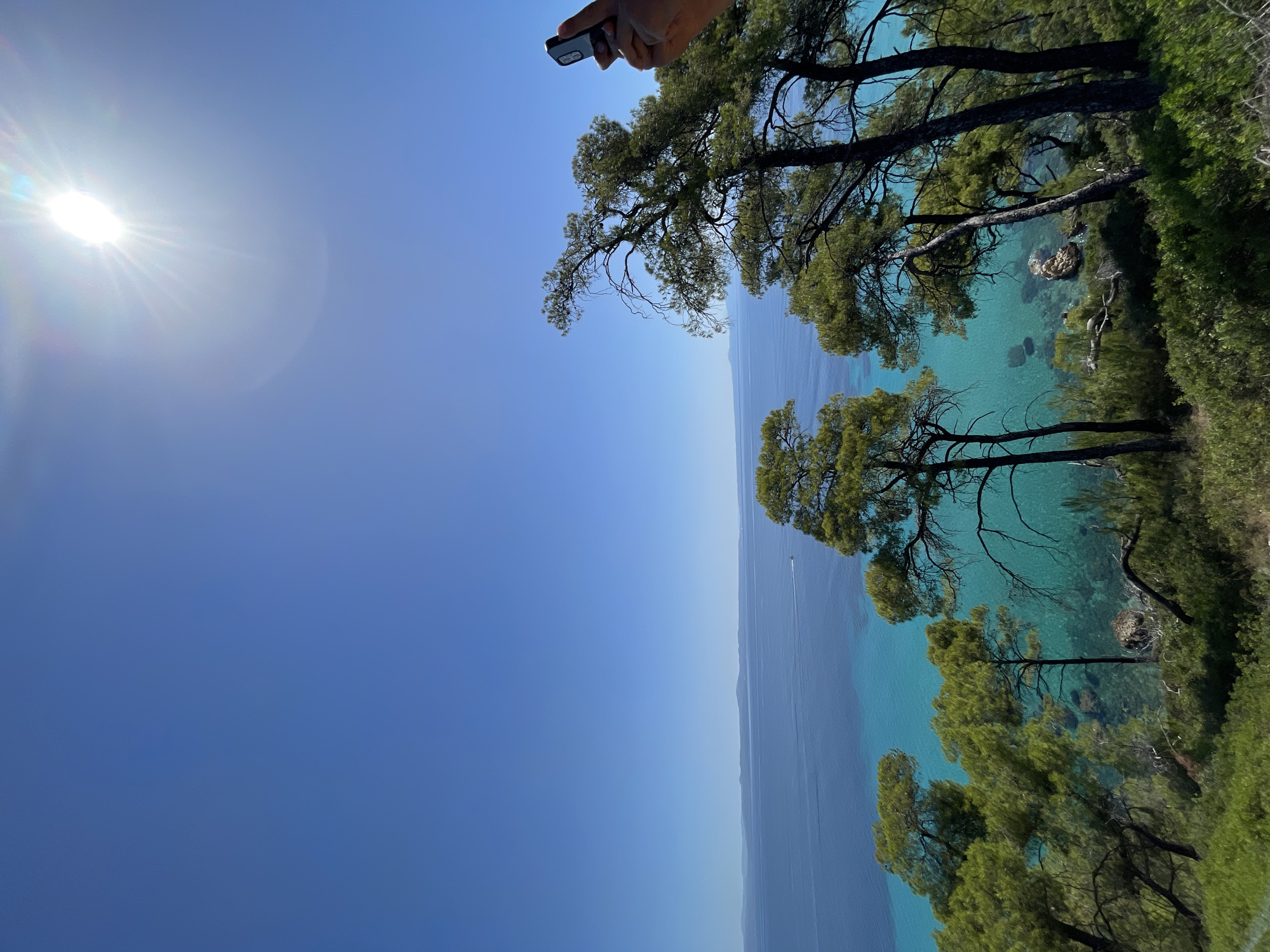 Pine-framed coastal overlook on Kassandra peninsula, Greece