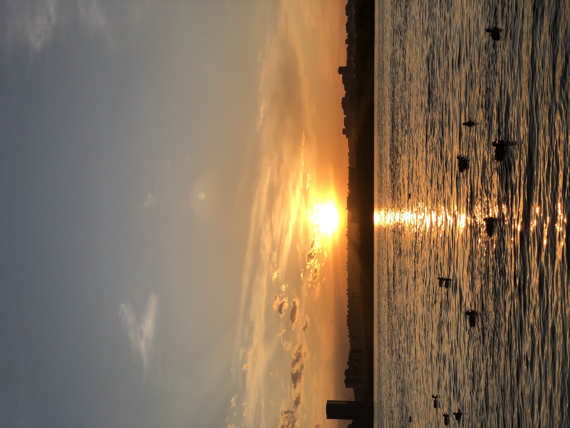 Spring sunset and blooms captured along Yenisei River, Krasnoyarsk
