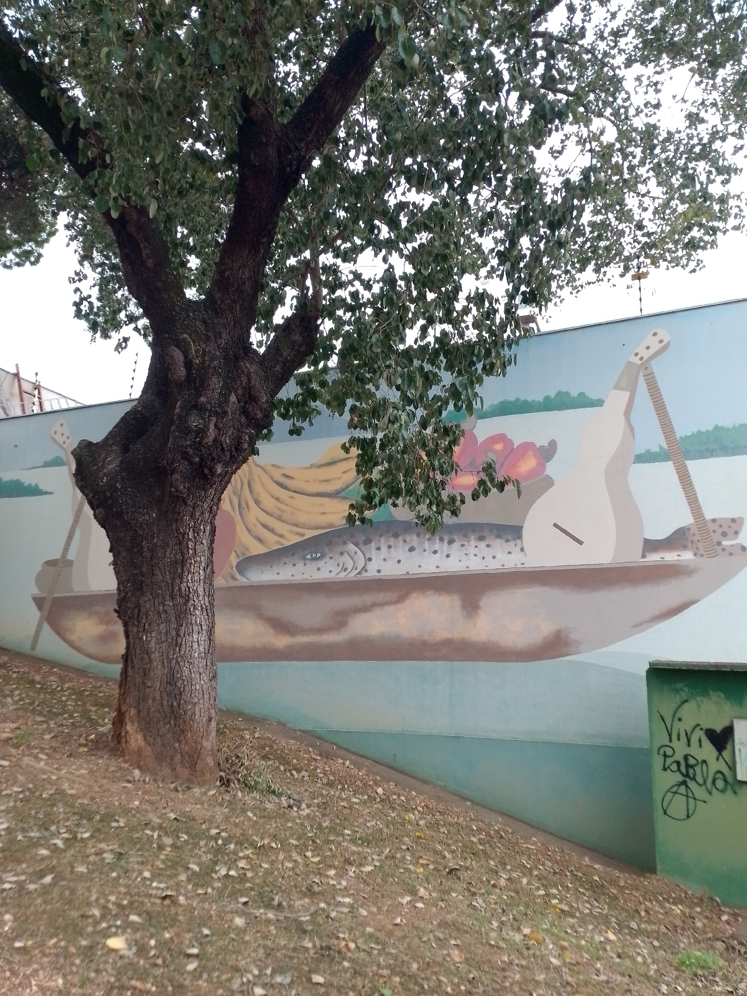 Witness documents Cuiabá street art and urban scenes over two hours