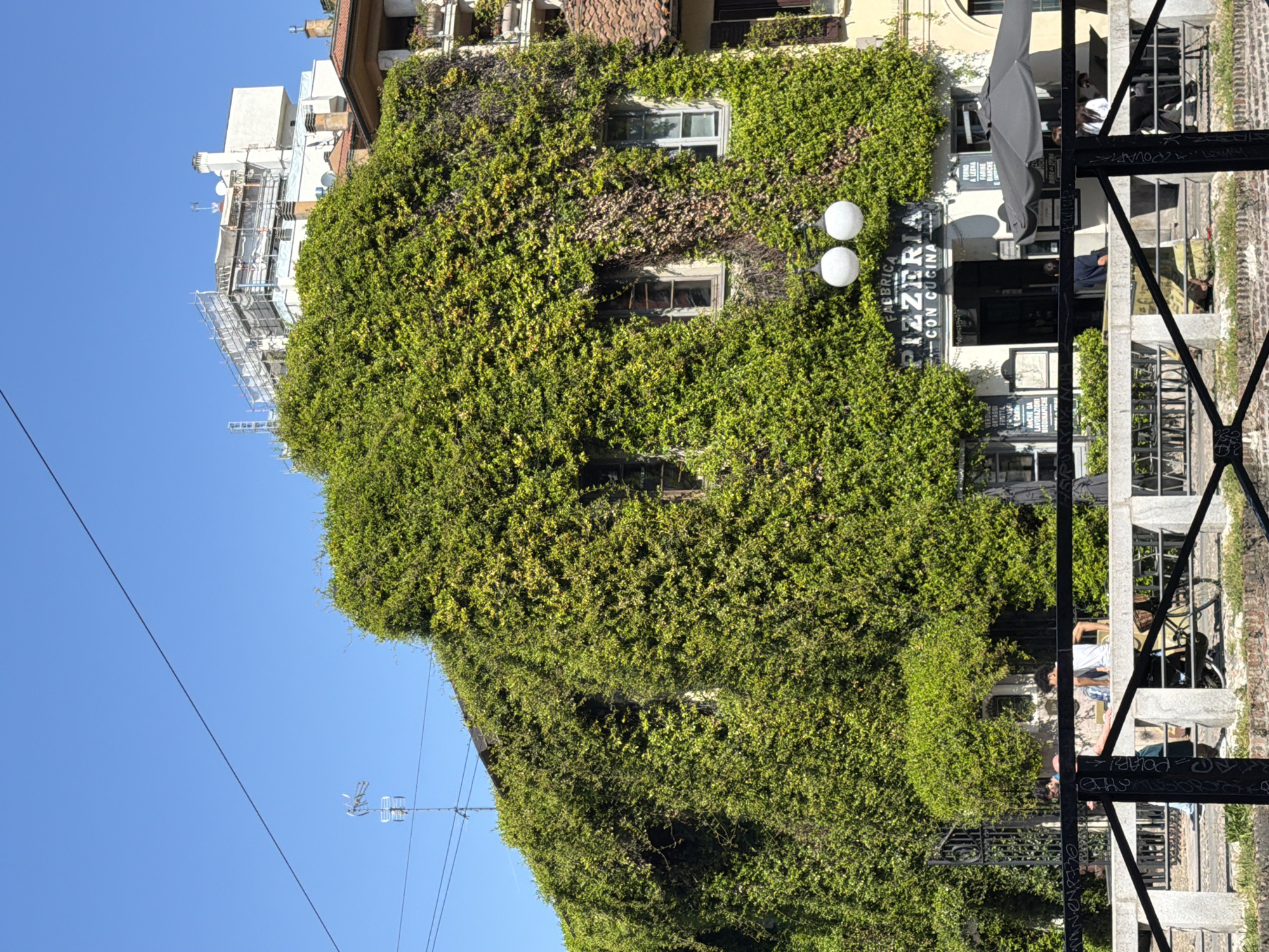 Morning street scenes captured across Milan neighborhoods