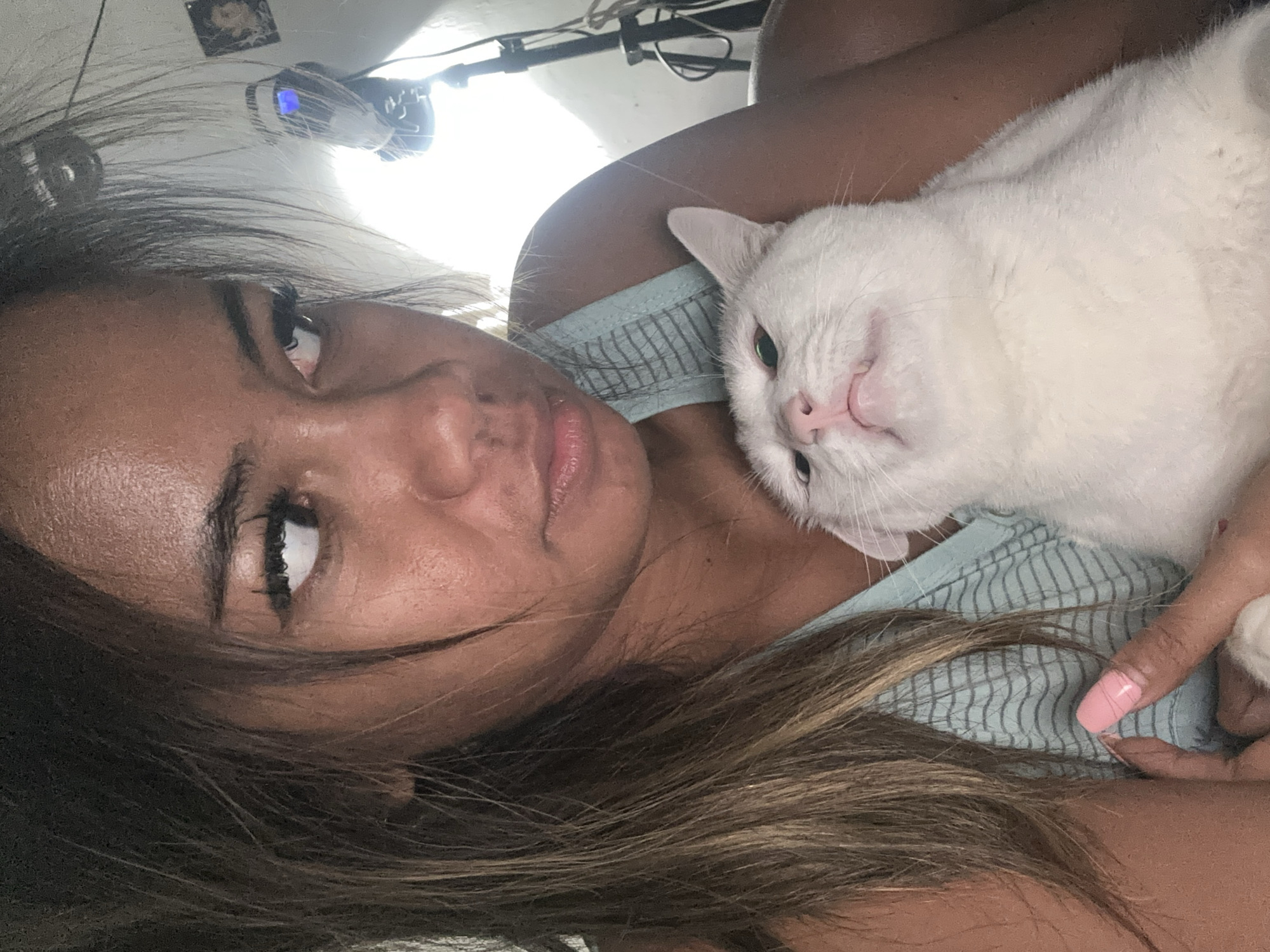 Person shares quiet morning moments with white cat in Jakarta