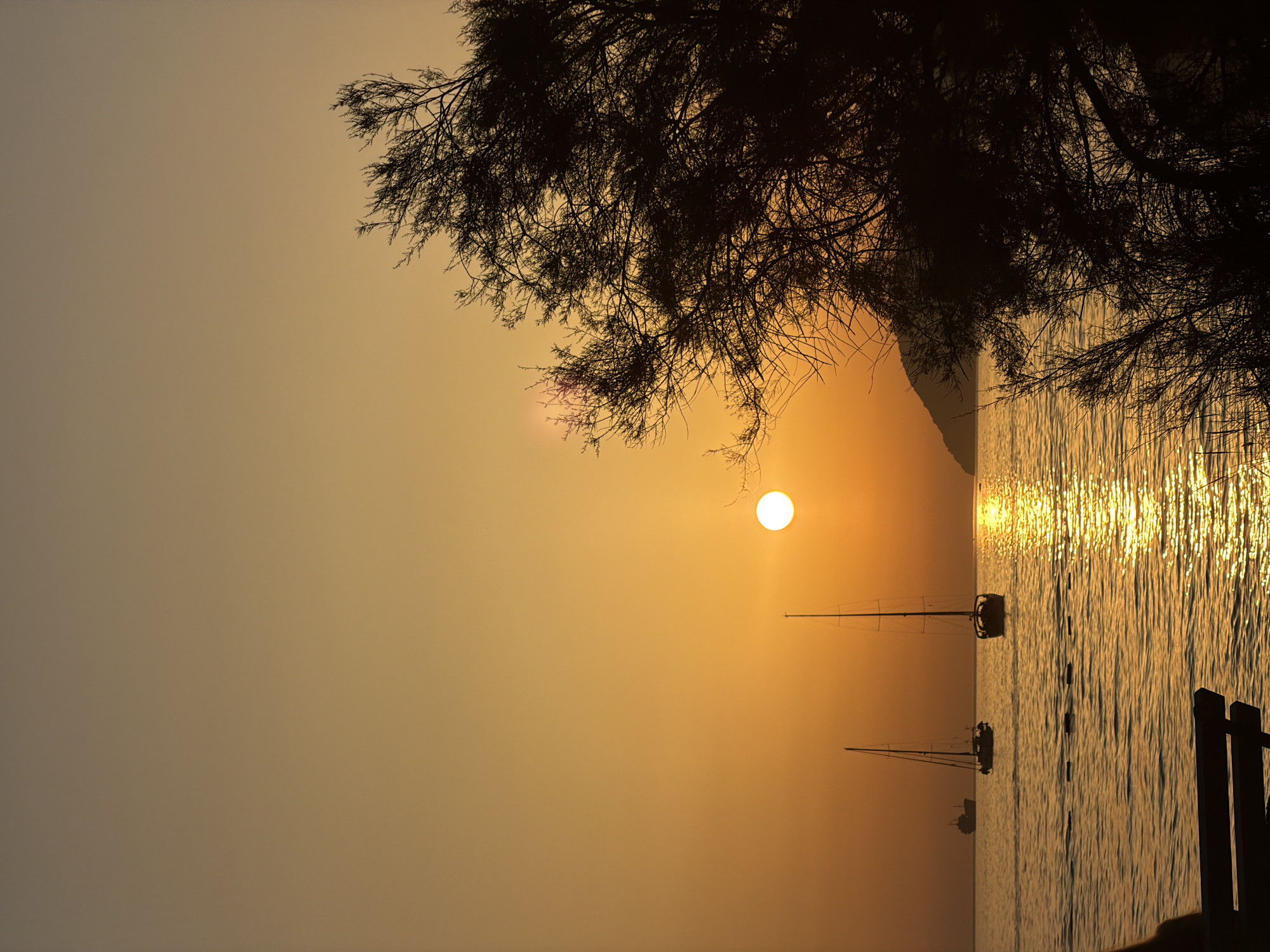 Golden hour on Bar's pebbled Adriatic shore