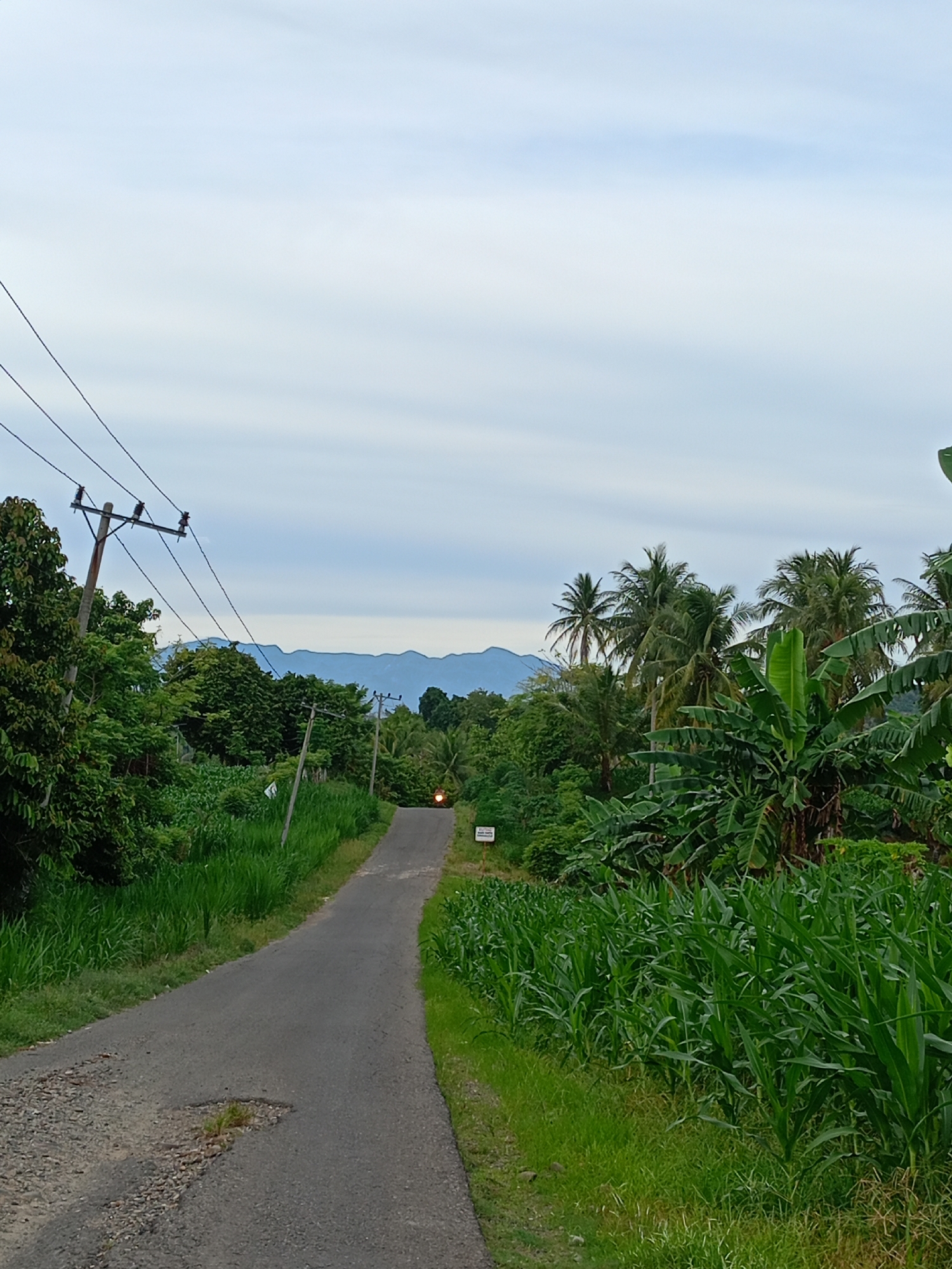 Rural road traffic observed in Cotjrat, Indonesia agricultural area