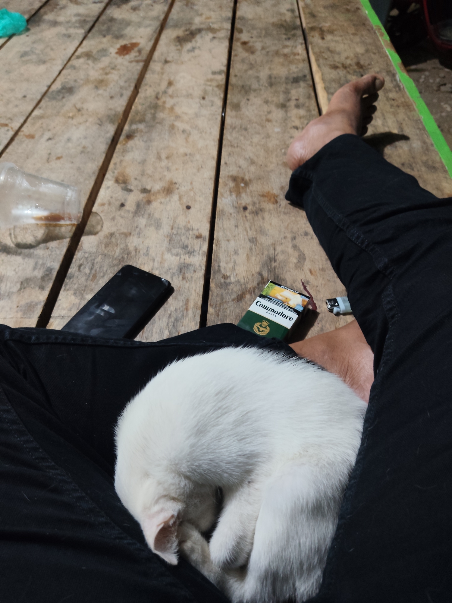 A patchy white cat naps and eats in Dayahbaro
