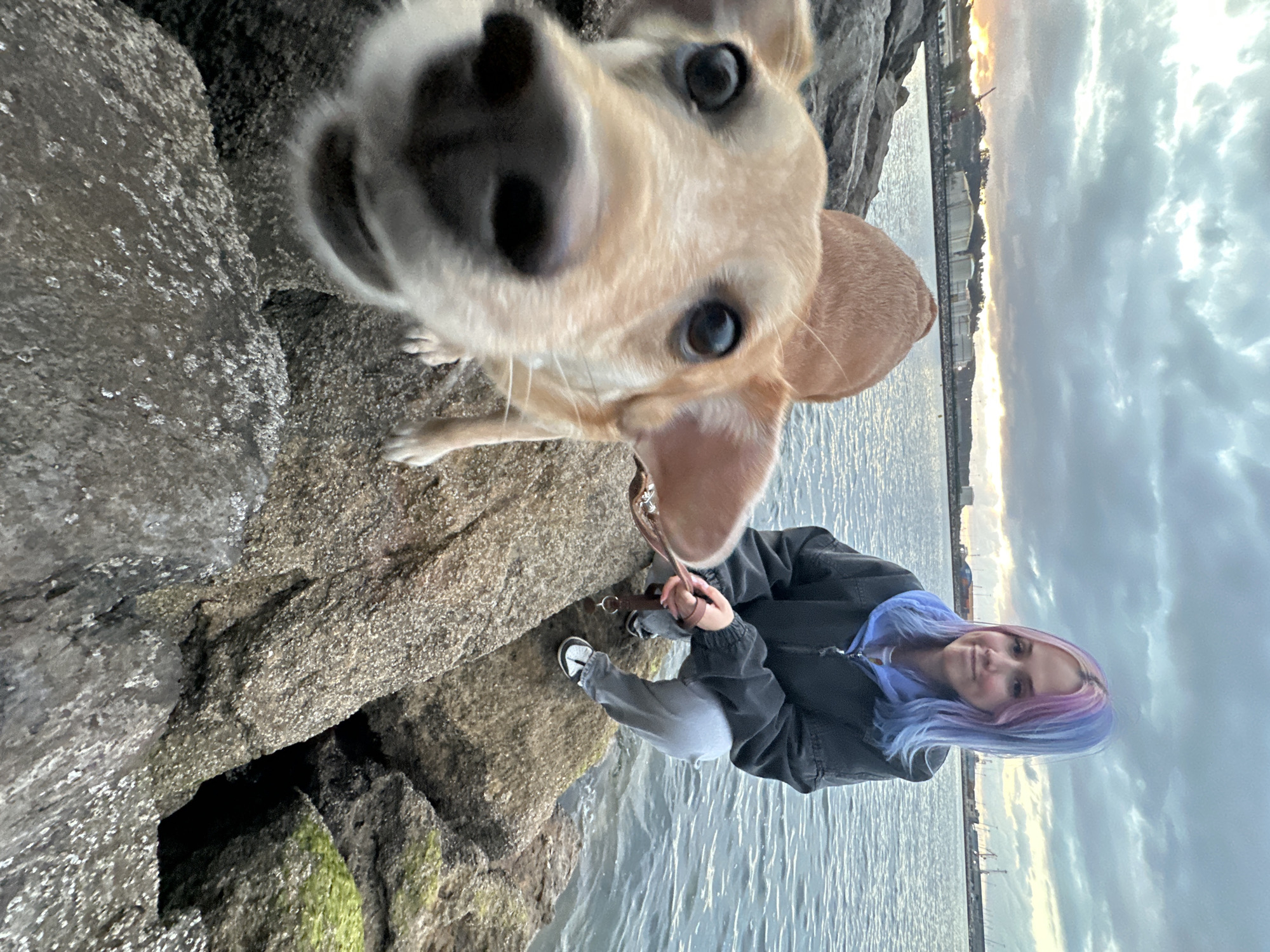 Woman walks dog along Gijón waterfront at sunset