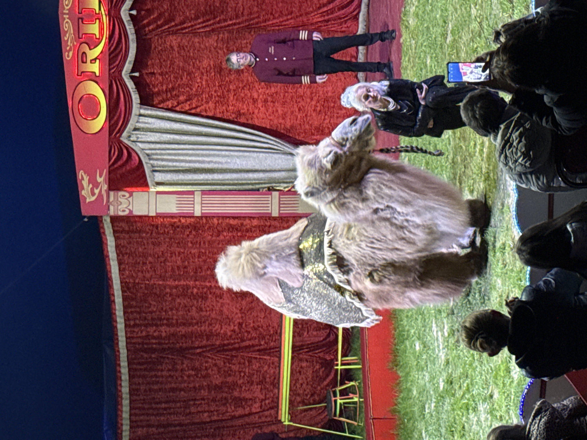 Circus performance documented in Stara Zagora, Bulgaria