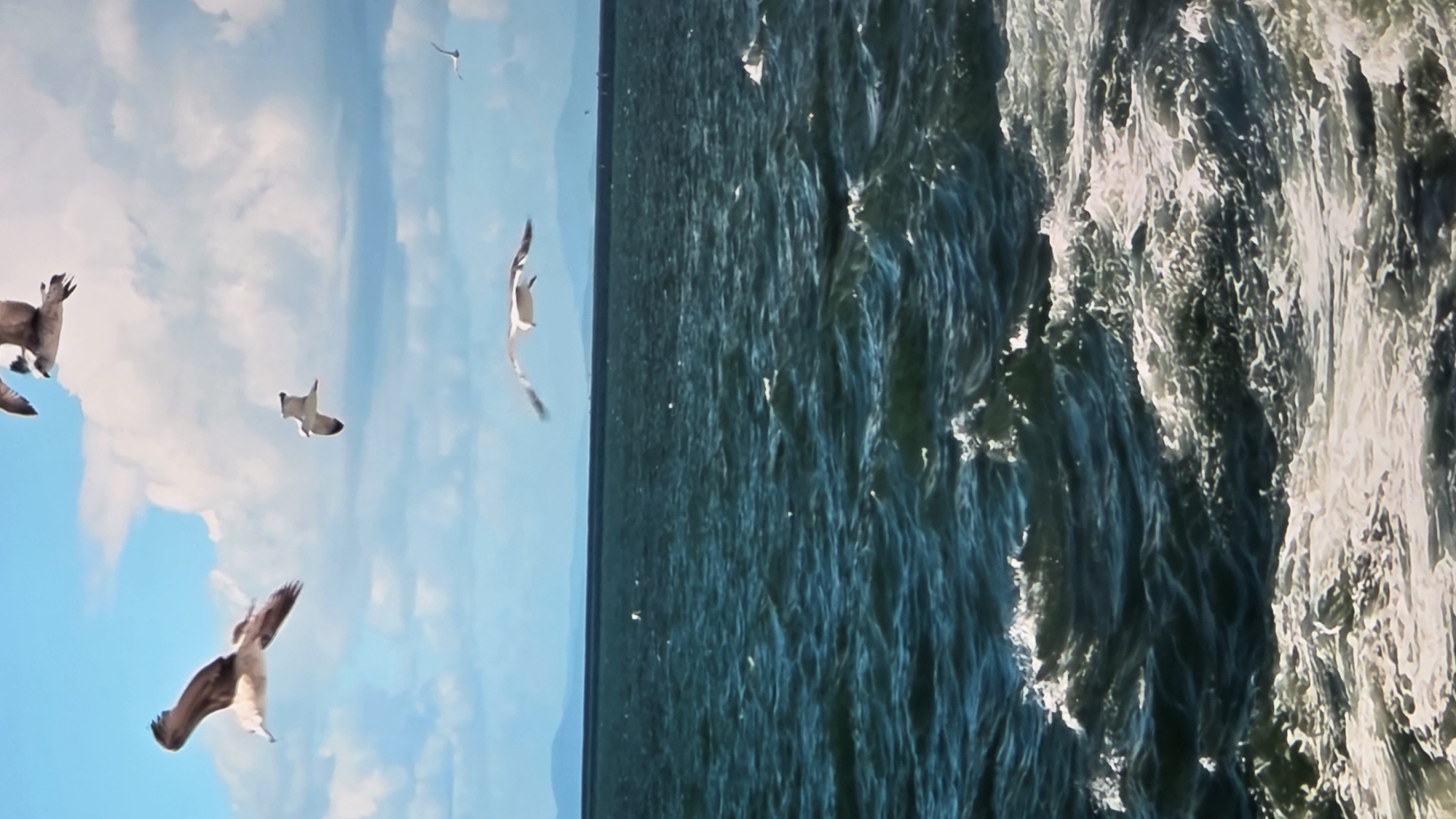 Wide-ranging nature and landscape scenes tagged to Batumi, Georgia