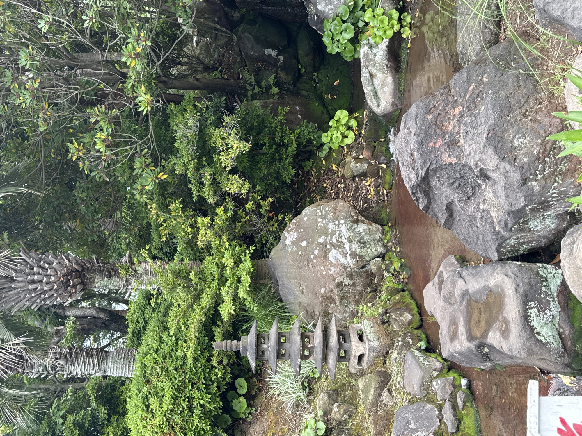 Tourist visits Beppu hot springs and gardens in early morning