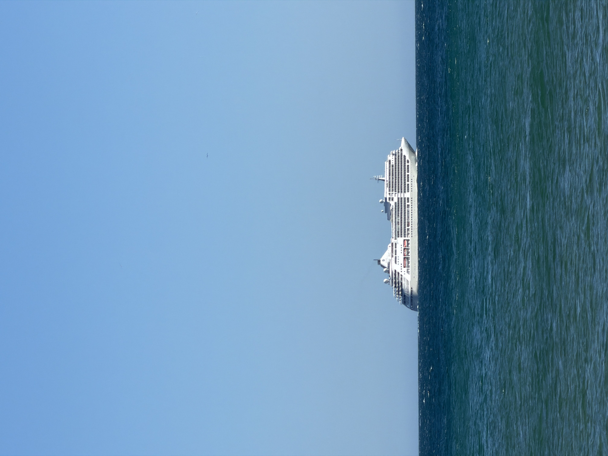 Cruise ship anchors off Cascais beach draws beachgoers' attention