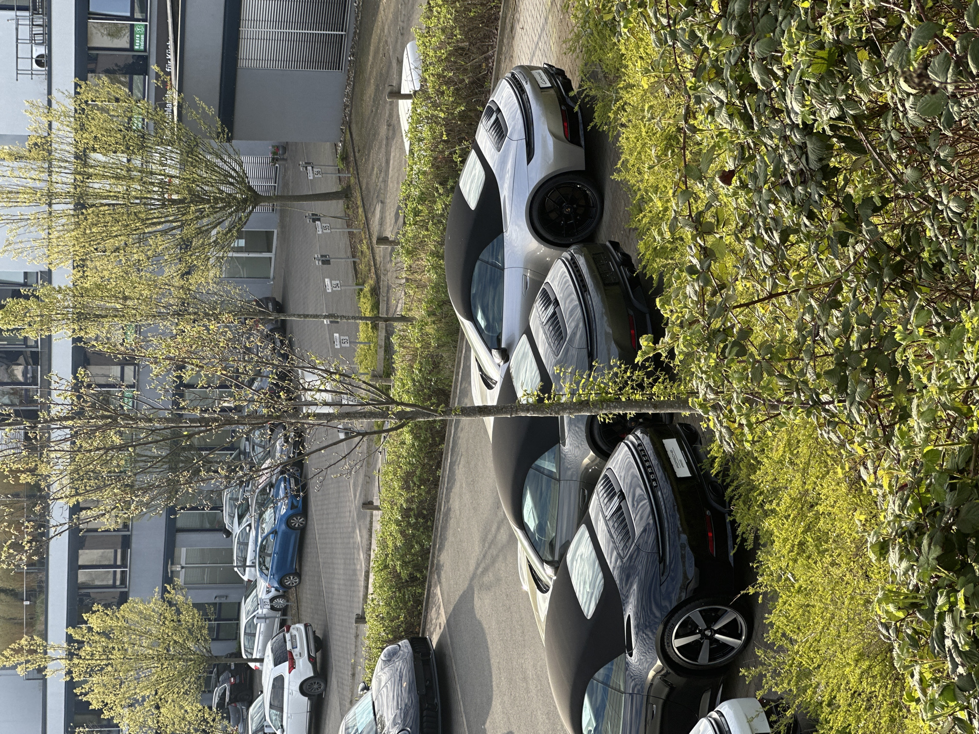 Morning scenes captured around Dortmund airport and Holzwickede parking areas